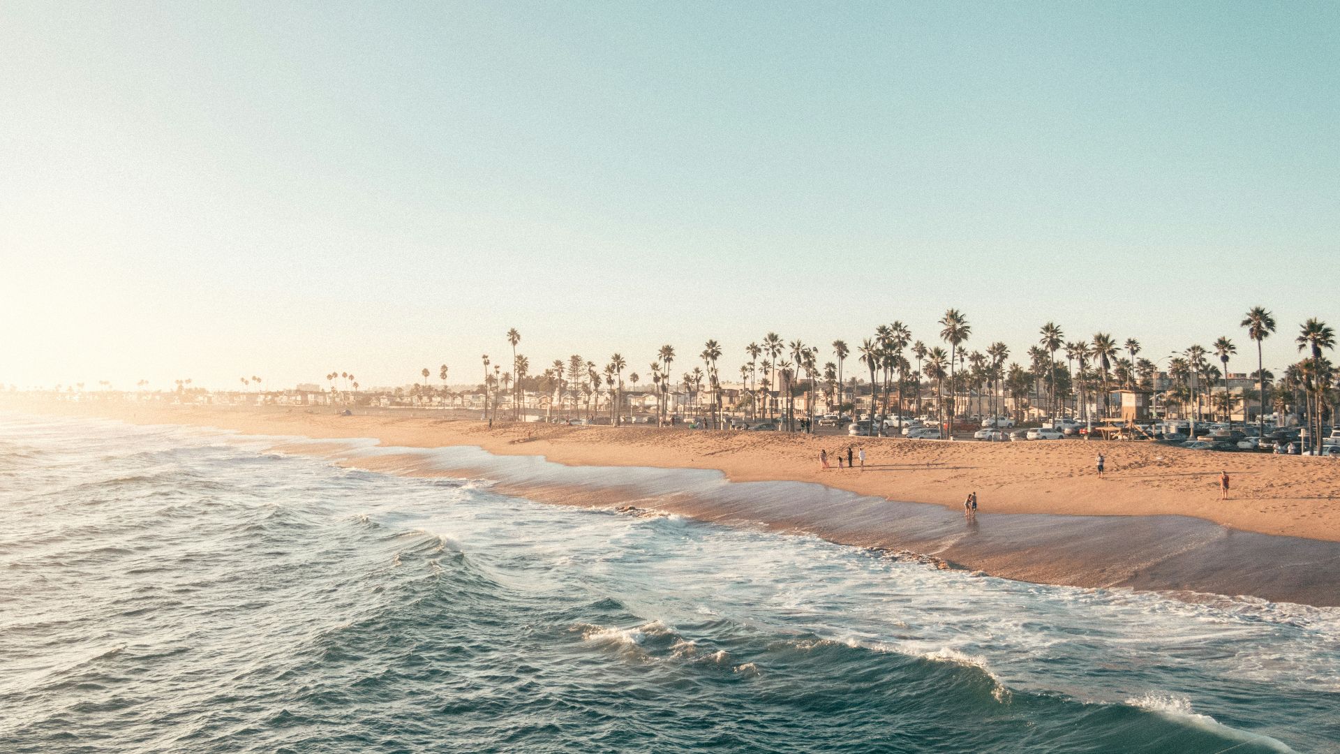 Waves rolling onto a sandy beach lined with palm trees under low sun