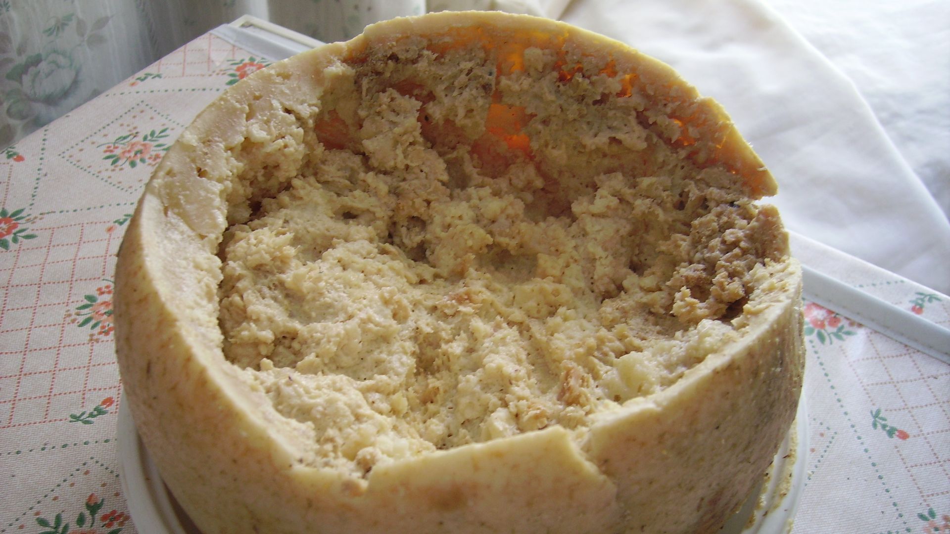 Casu Marzu, a type of cheese.