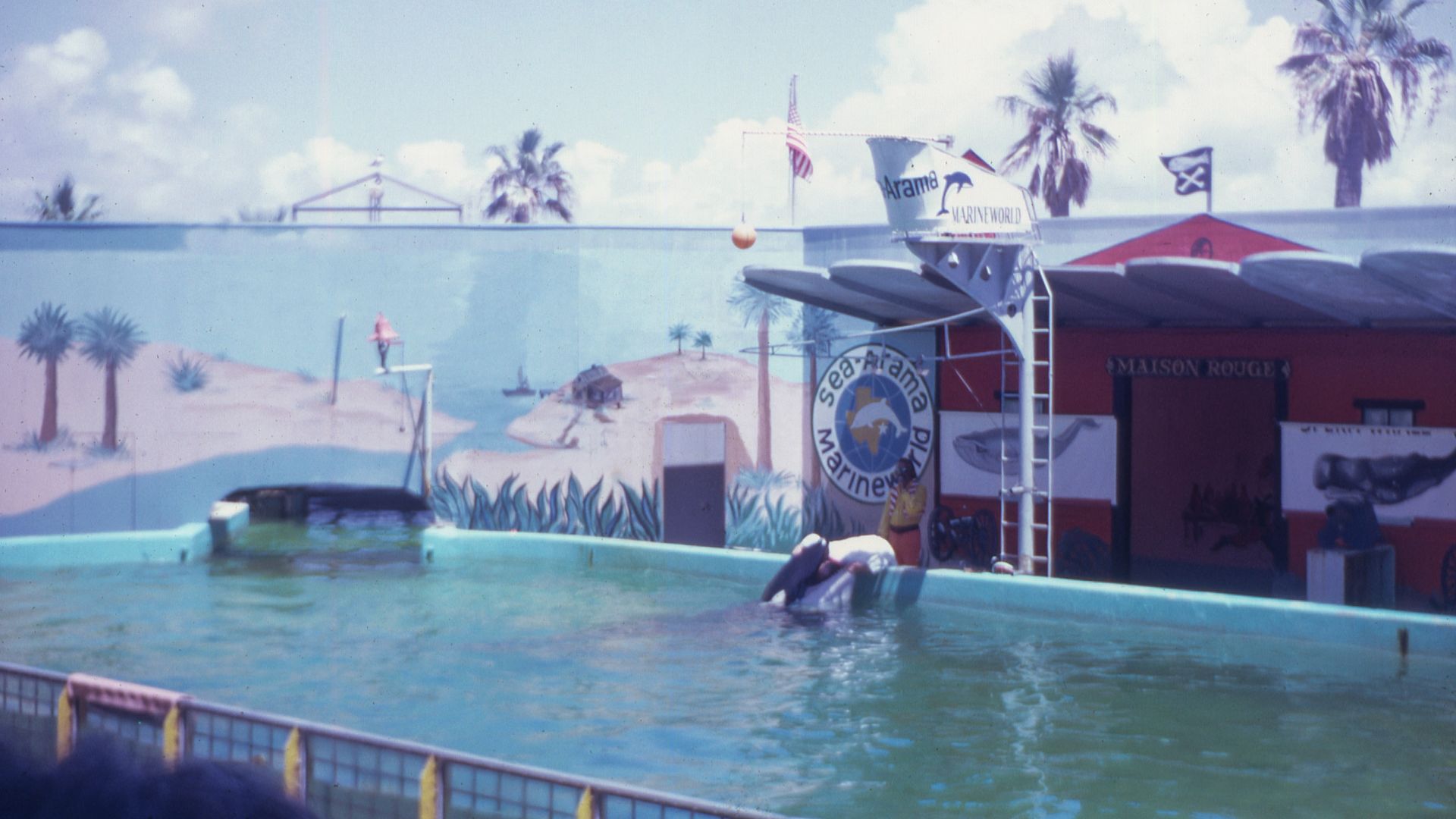 Sea-Arama Marineworld Texas, Orca Whale Show, Circa 1973
