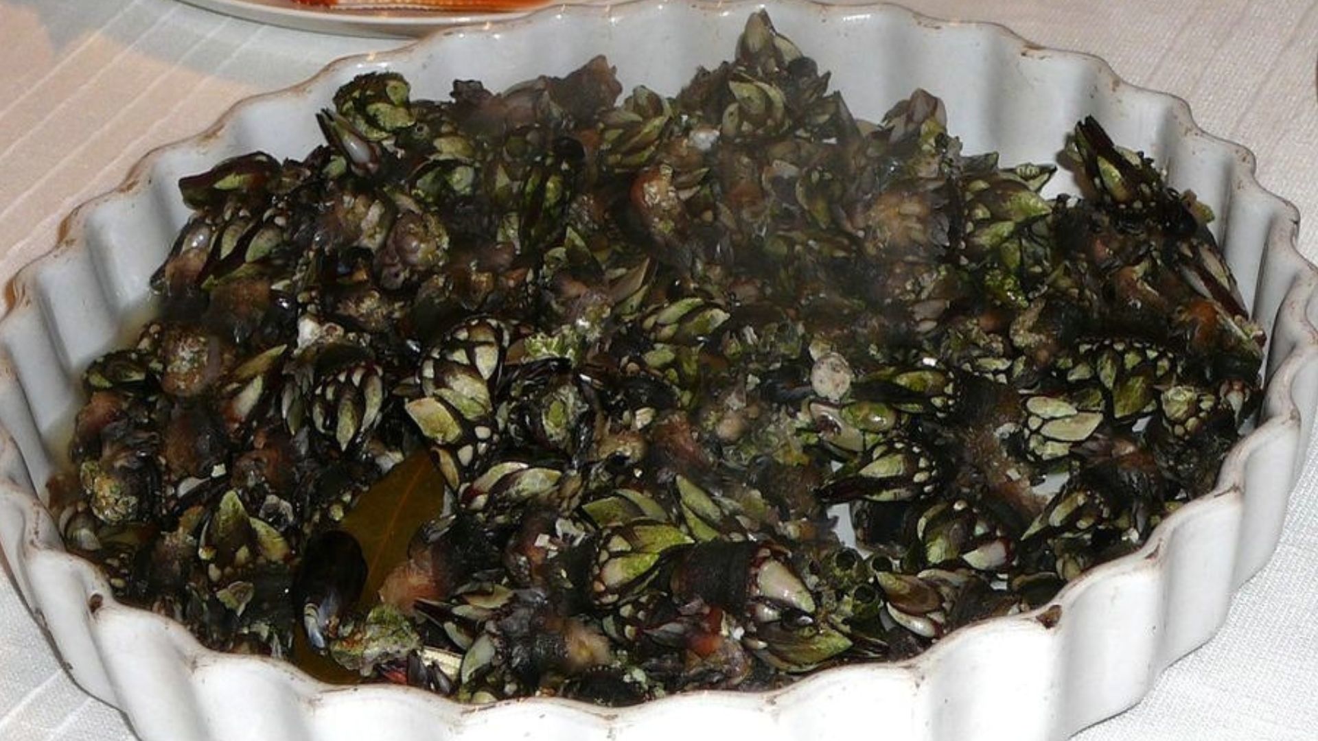 Los percebes de a Illa de Ons.