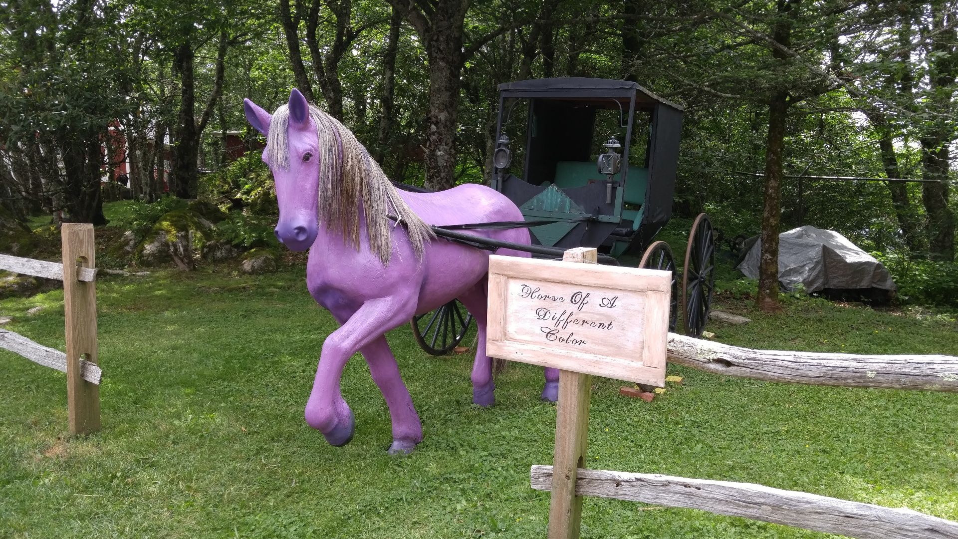 Land of Oz horse
