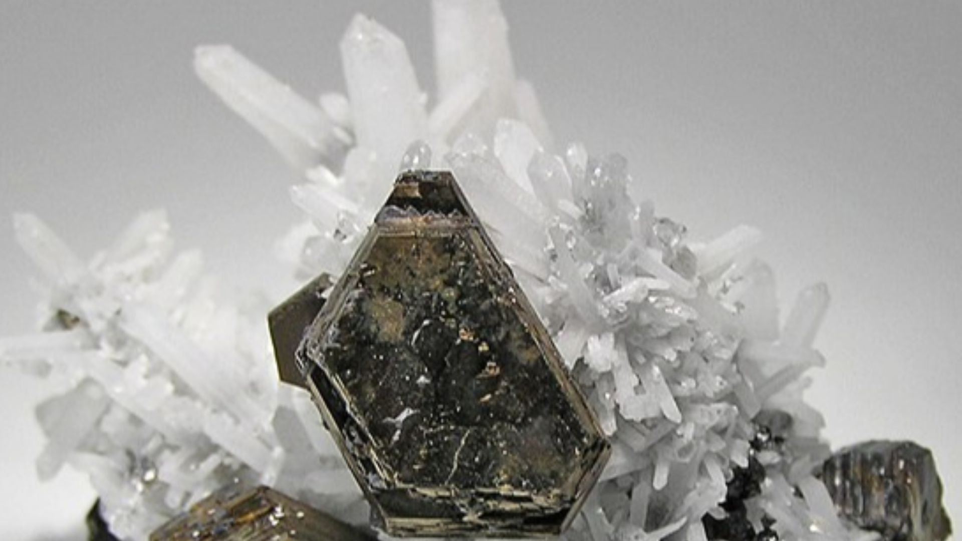 Pyrrhotite, Sphalerite, Quartz
Locality: Nikolaevskiy Mine, Dal'negorsk (Dalnegorsk; Tetyukhe; Tjetjuche; Tetjuche), Primorskiy Kray, Far-Eastern Region, Russia (Locality at mindat.org)
Size: 5.3 x 4.1 x 3.8 cm.
Sharp, brassy crystals of pyrrhotite are pe