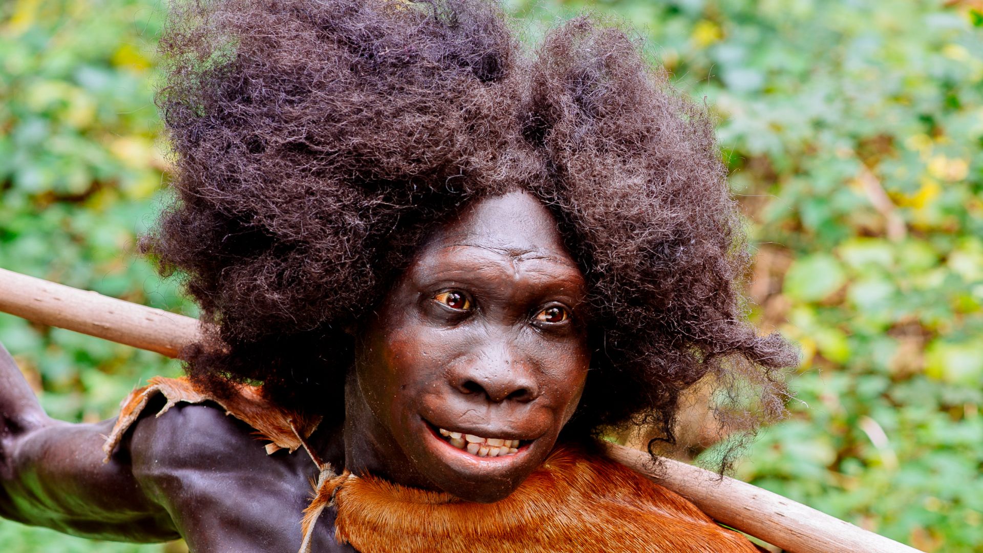 Rekonstruktion des Homo erectus Fundes: Turkana Boy (Ausschnitt) vom Fundort Nariokotome, Kenia, ausgestellt im Neanderthal Museum in Erkrath, NRW. Model made by Kennis & Kennis Reconstructions.