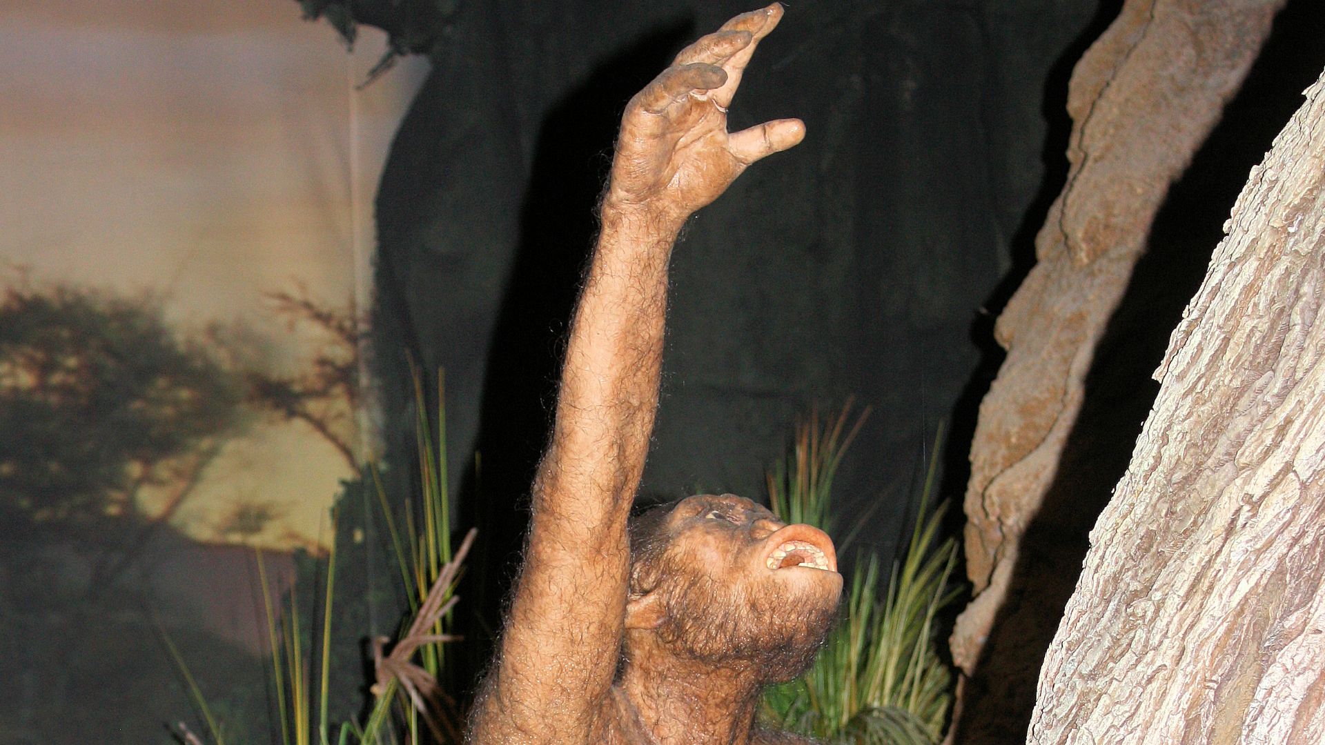 GONDWANA - the Praehistorium, Homo erectus