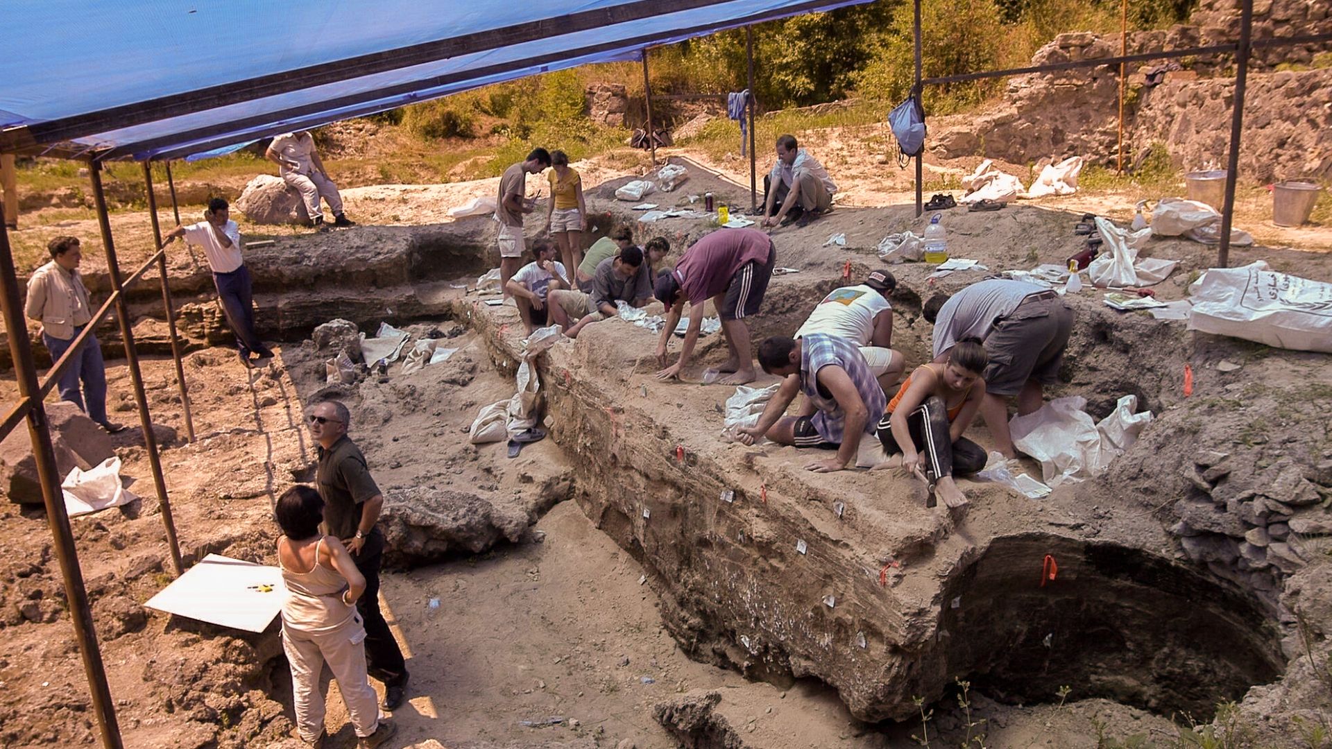 Dmanisi excavation site