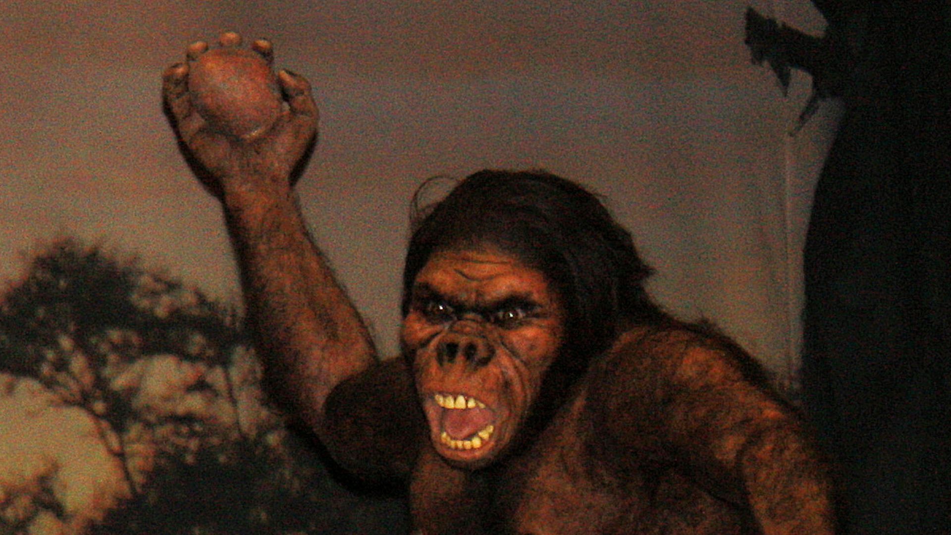 GONDWANA - the Praehistorium, Homo erectus