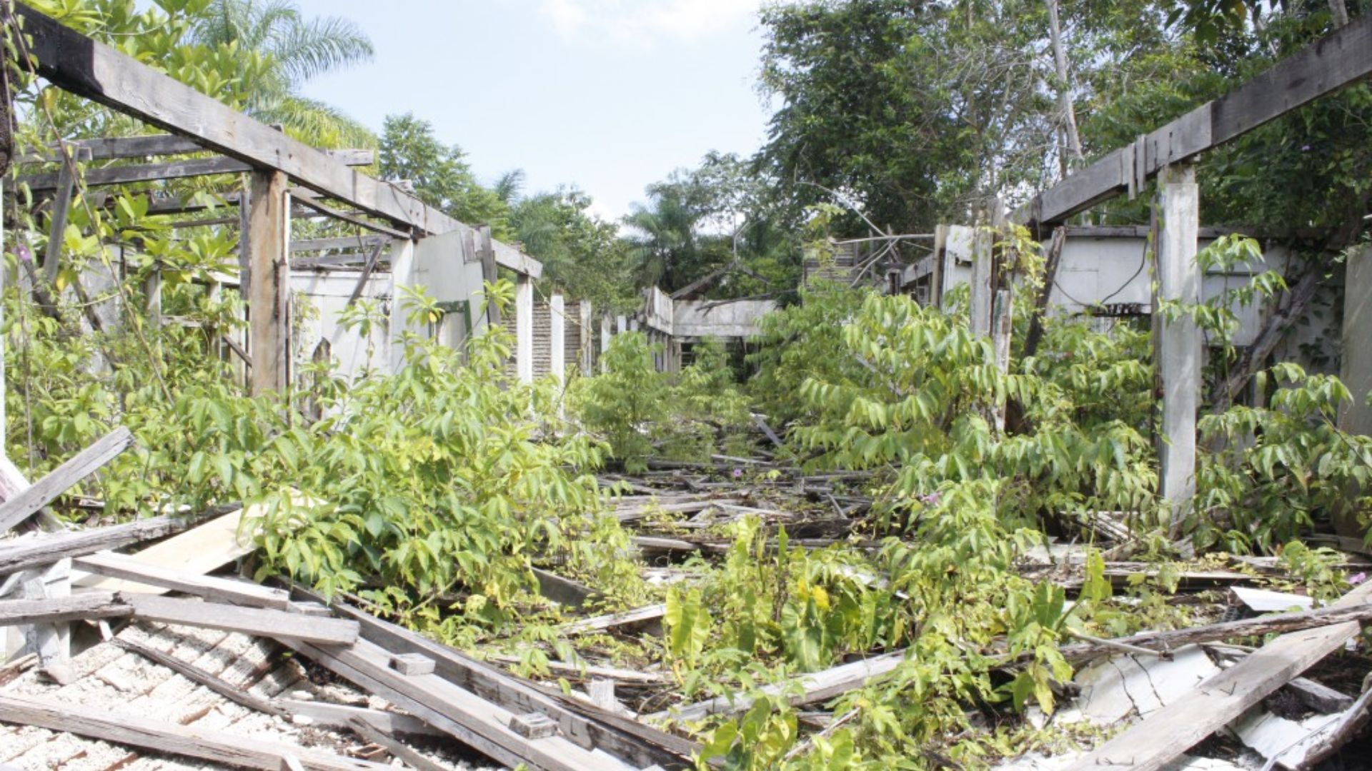 Fordlandia Hospital completely dismantled after people stole all of its contents.