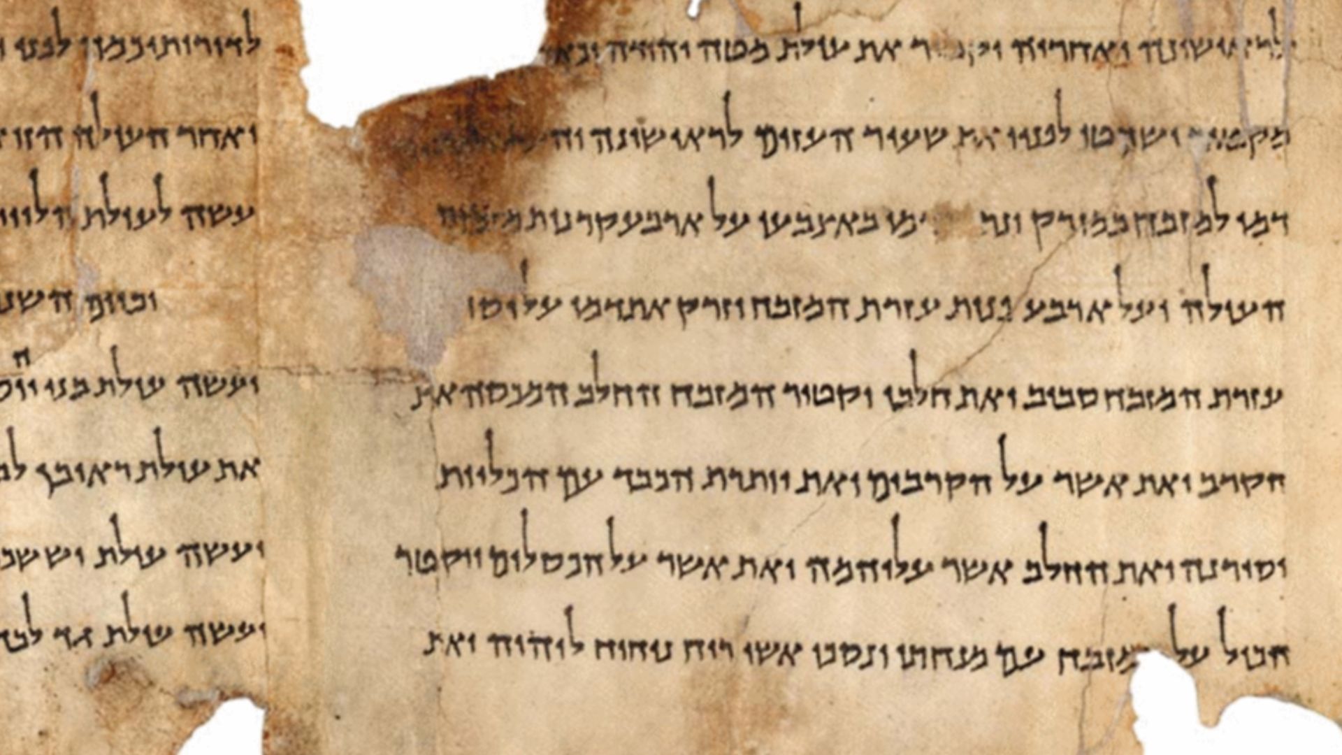 Portion of the Temple Scroll, labeled 11Q19, one of the longest of the Dead Sea Scrolls.