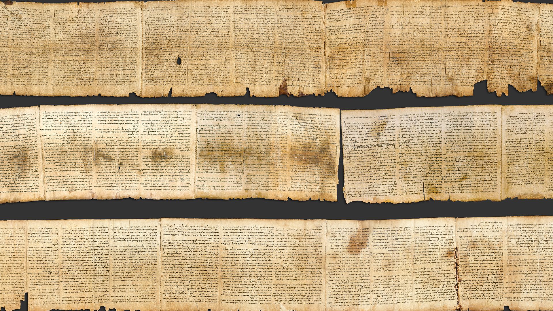 Photographic reproduction of the Great Isaiah Scroll, the best preserved of the biblical scrolls found at Qumran. It contains the entire Book of Isaiah in Hebrew, apart from some small damaged parts. This manuscript was probably written by a scribe of the