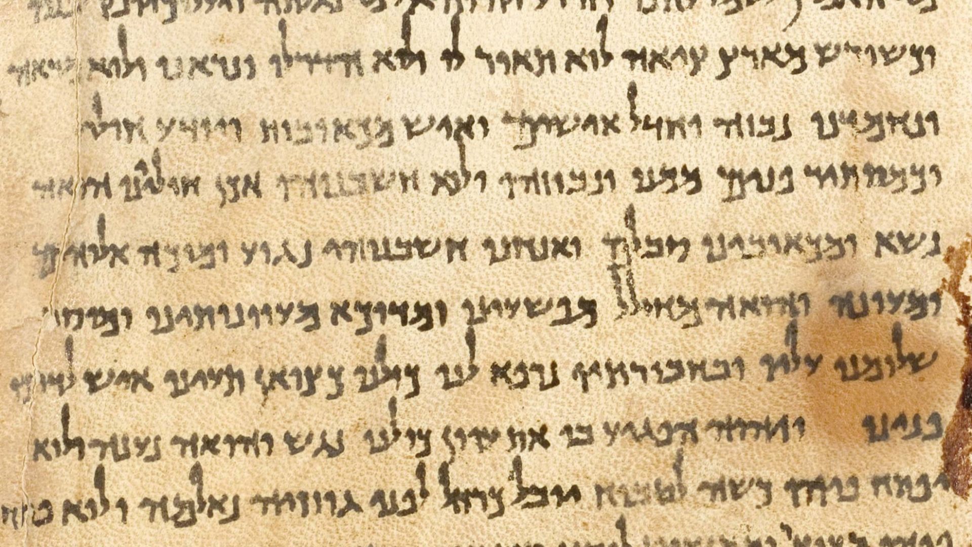 Portion of a photographic reproduction of the Great Isaiah Scroll, the best preserved of the biblical scrolls found at Qumran. It contains the entire Book of Isaiah in Hebrew, apart from some small damaged parts. This manuscript was probably written by a 