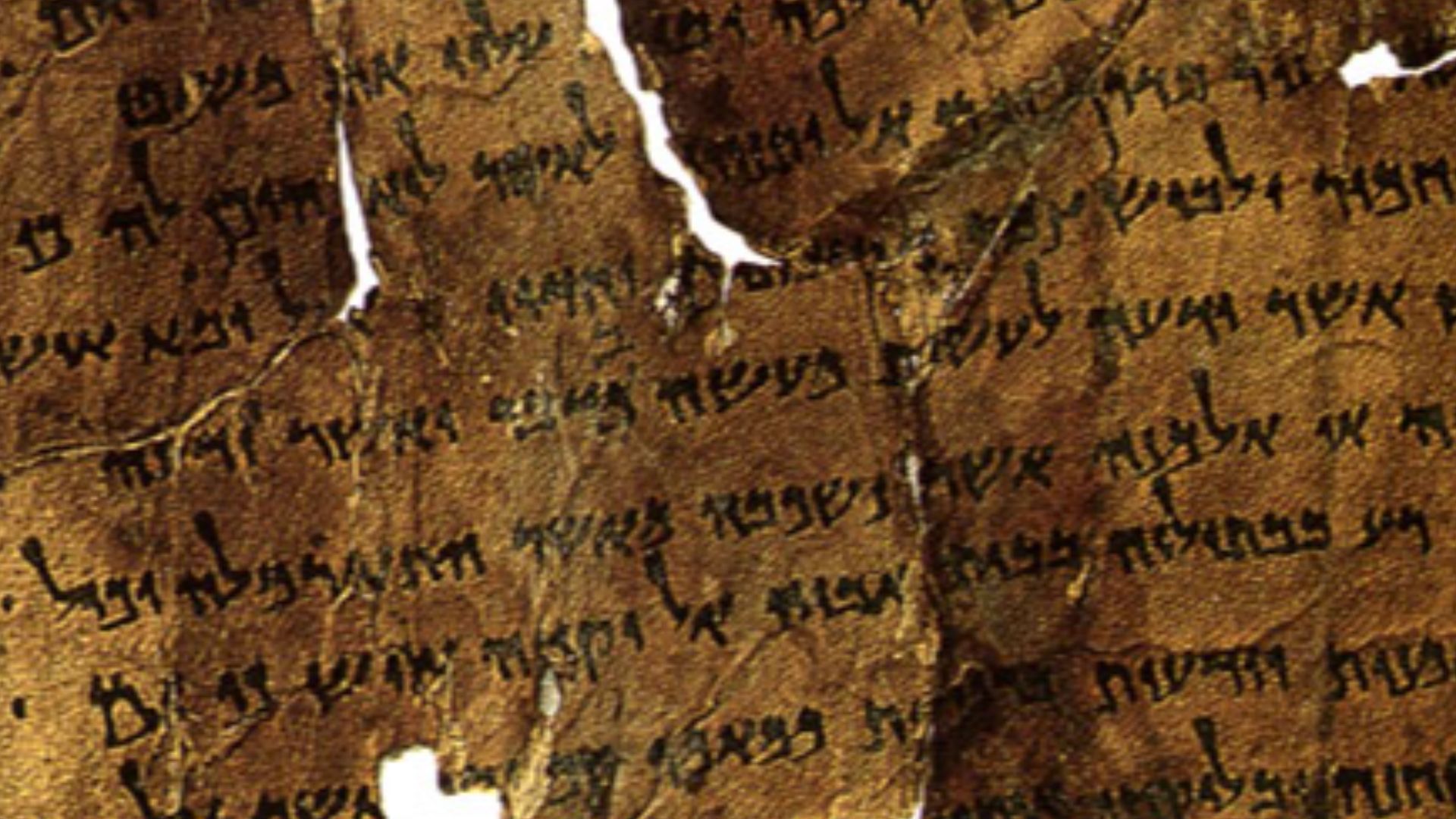 The Damascus Document Scroll 4Q271 (4QDf)