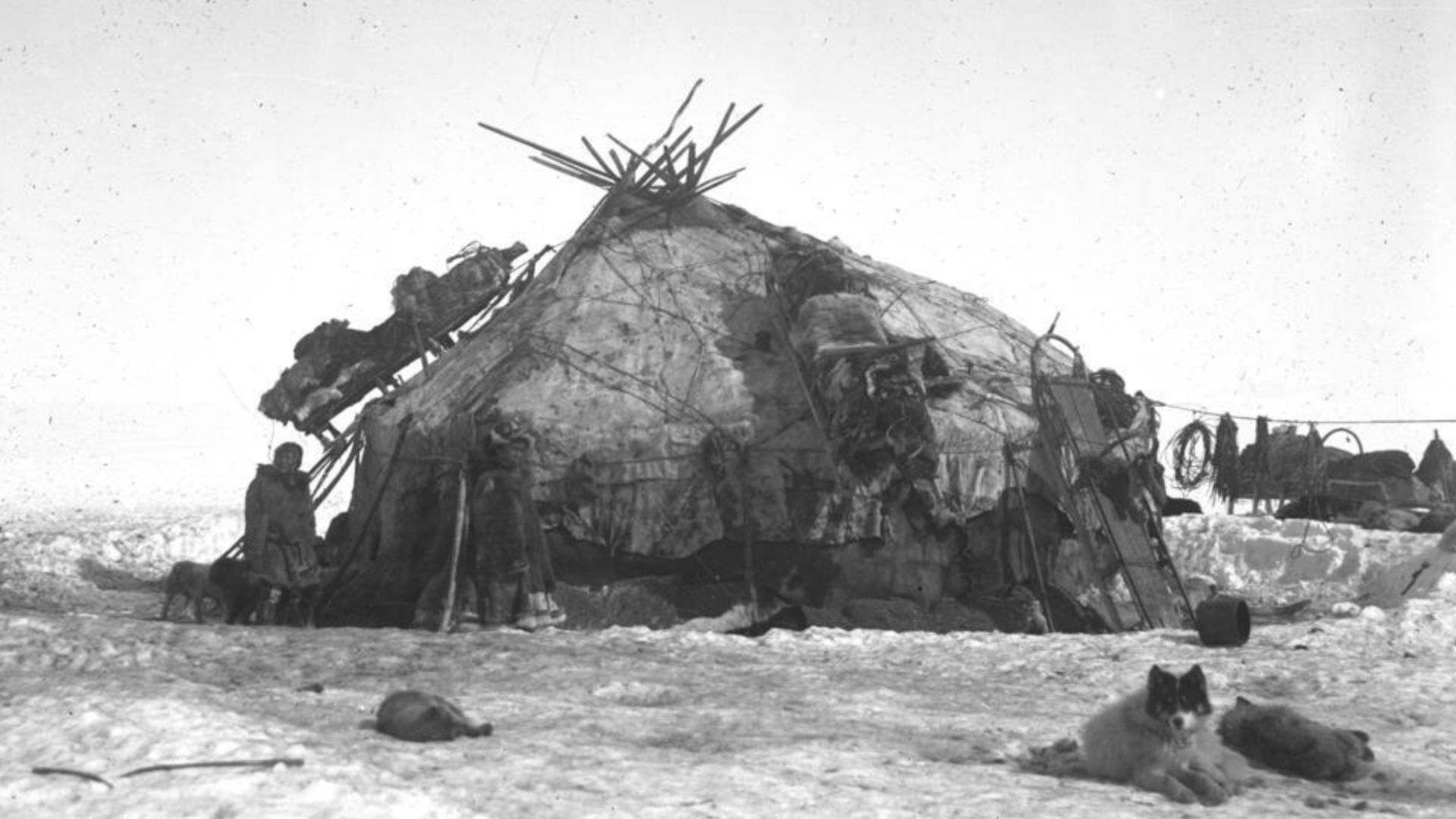 Chukchi House person and dog, Siberia, 1901