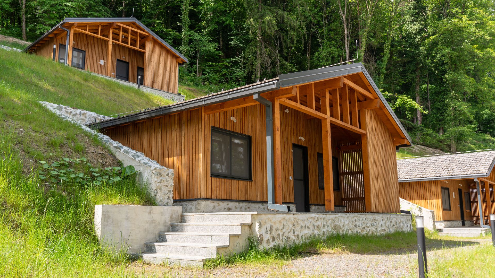 Cozy wooden cabins nestled in a lush forest, perfect for a rural vacation.
