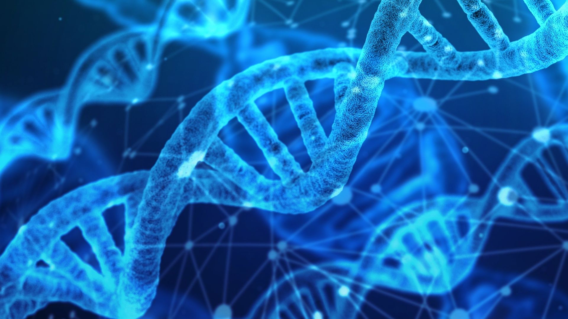 DNA strands
