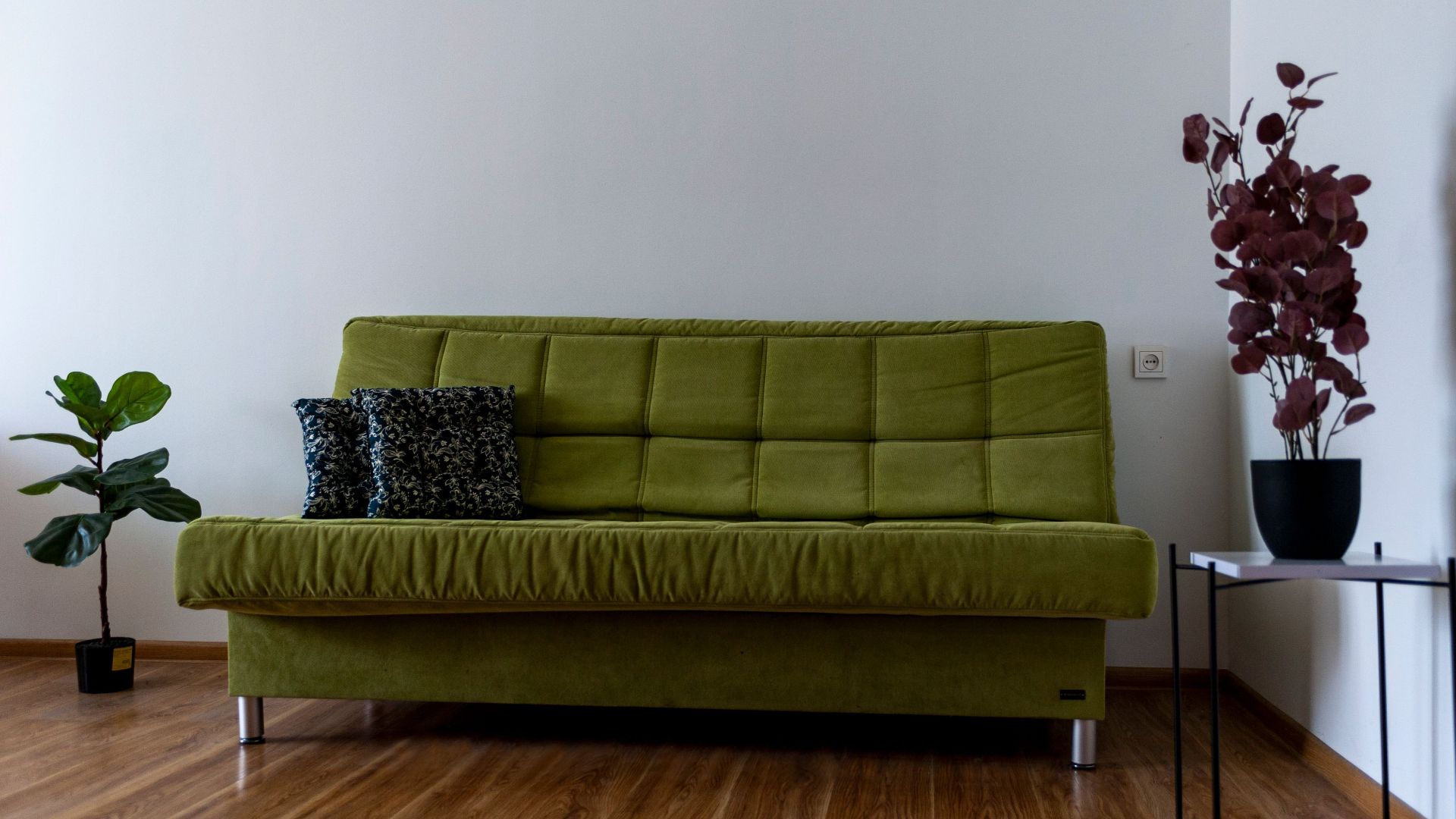 Minimalist interior with a green sofa, potted plants, and wooden flooring in a well-lit room.