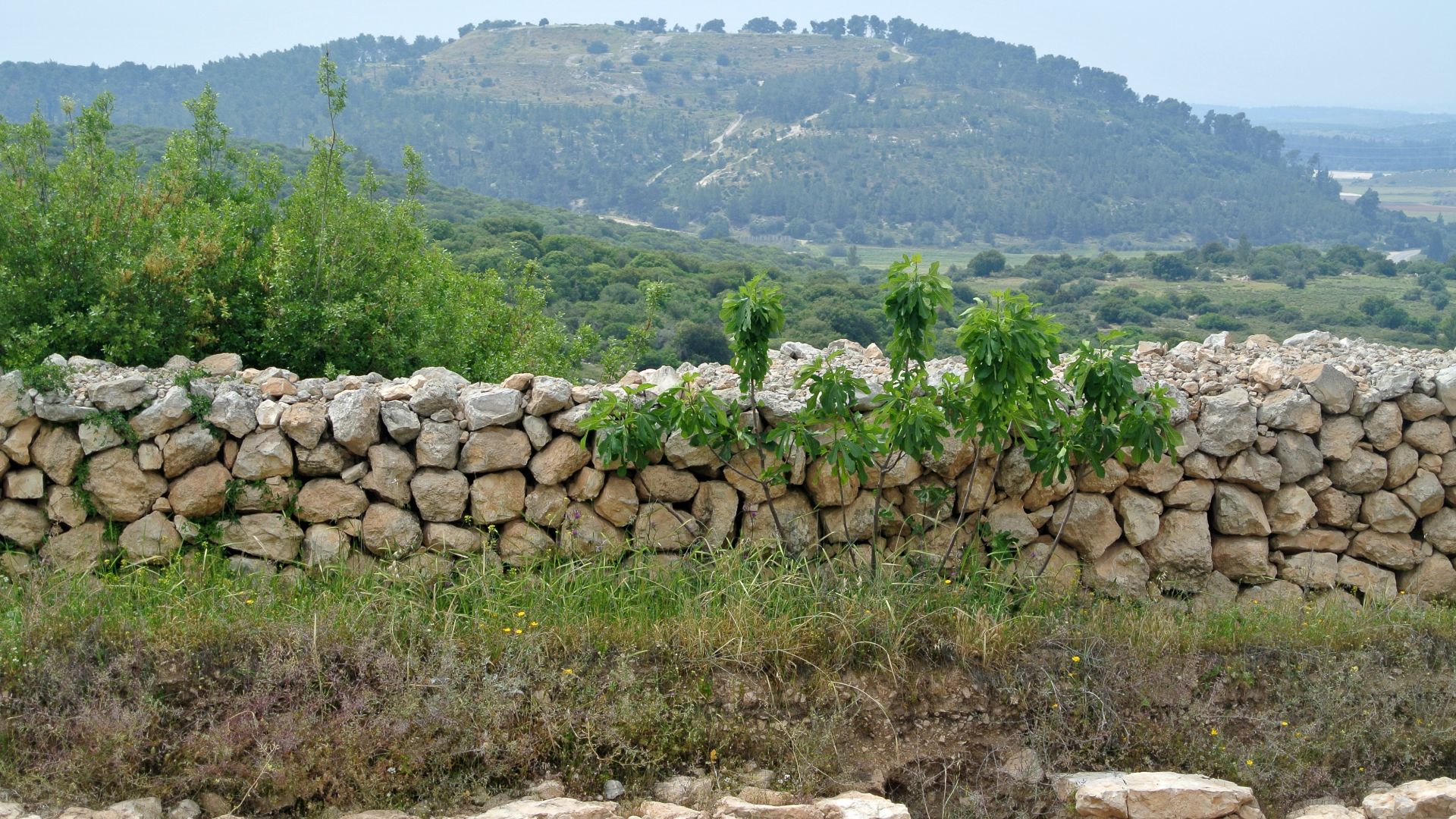 View of Tel Azeka from Khirbet Qeiyafa, Israel. Top wall is later; lower walls from Iron Age site. Note plastered room interior wall.