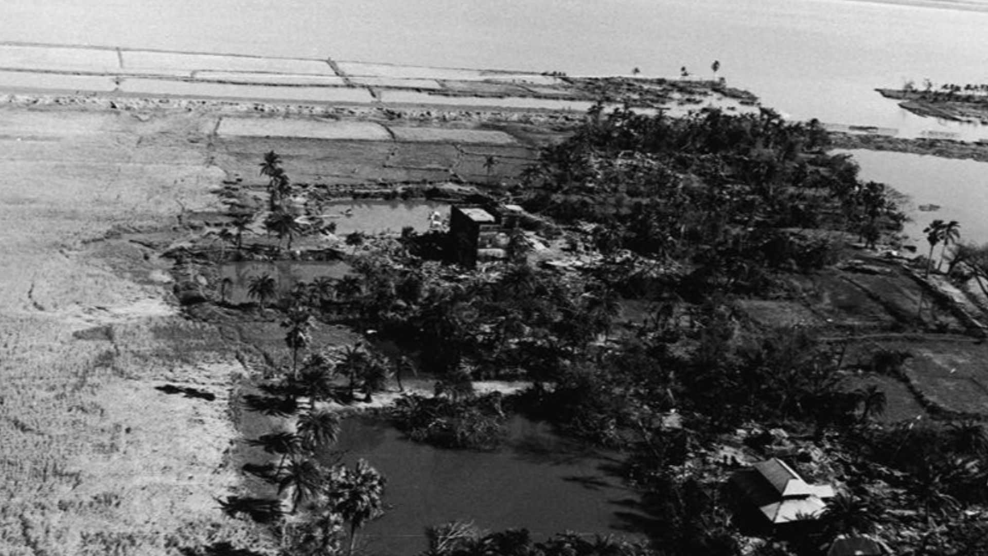 Aerial view of the coastal area of Patuakhali littered with dead cattle after it was hit by the tropical cyclone center in November 1970.