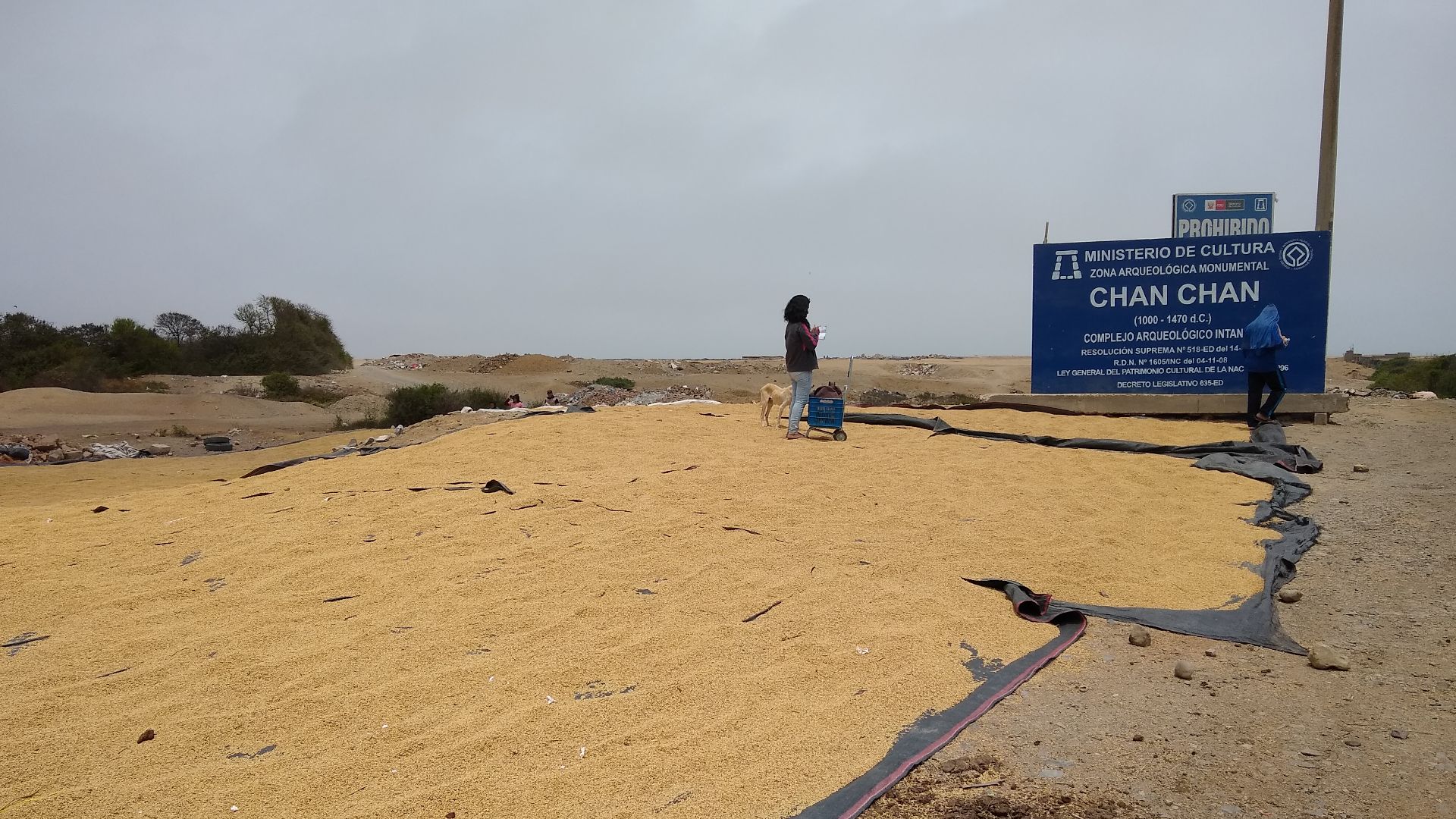 Chan Chan Archaeological Zone- open space used to dry grain