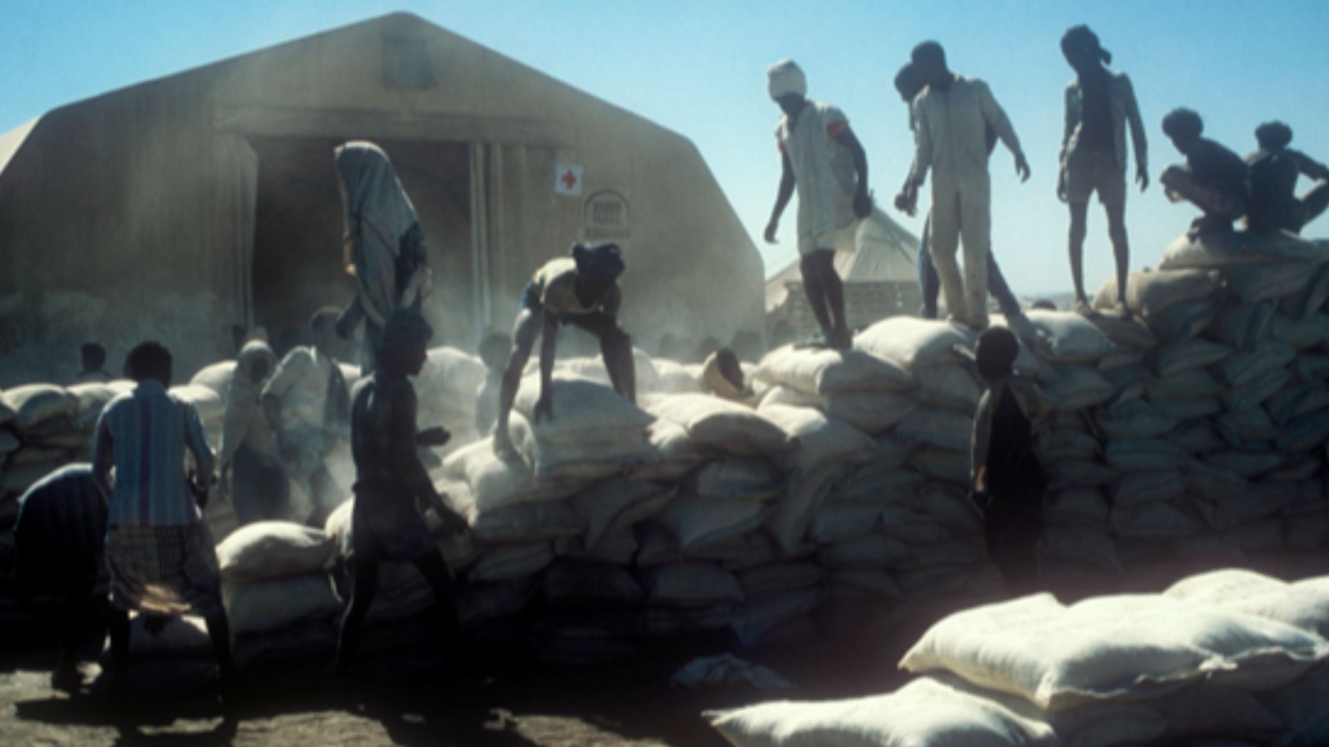 1984: food distribution organized by Ethiopian Red Cross volunteers.

Between 1984 and 1985, the northern regions of Ethiopia suffered a dramatic famine. The estimated death toll of the famines was over one million.