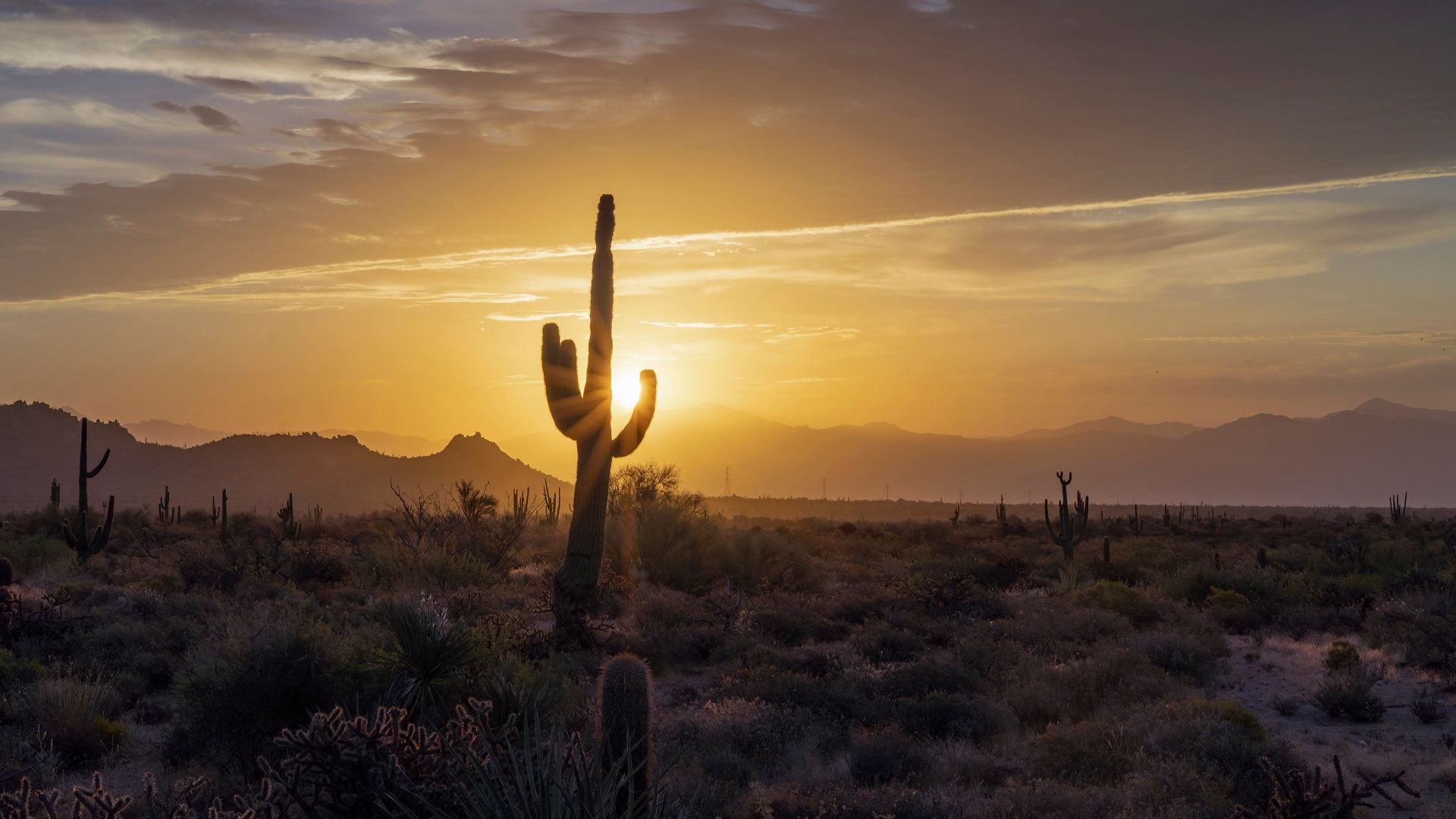 The summer of 2023 was the hottest on record in the Phoenix AZ area.