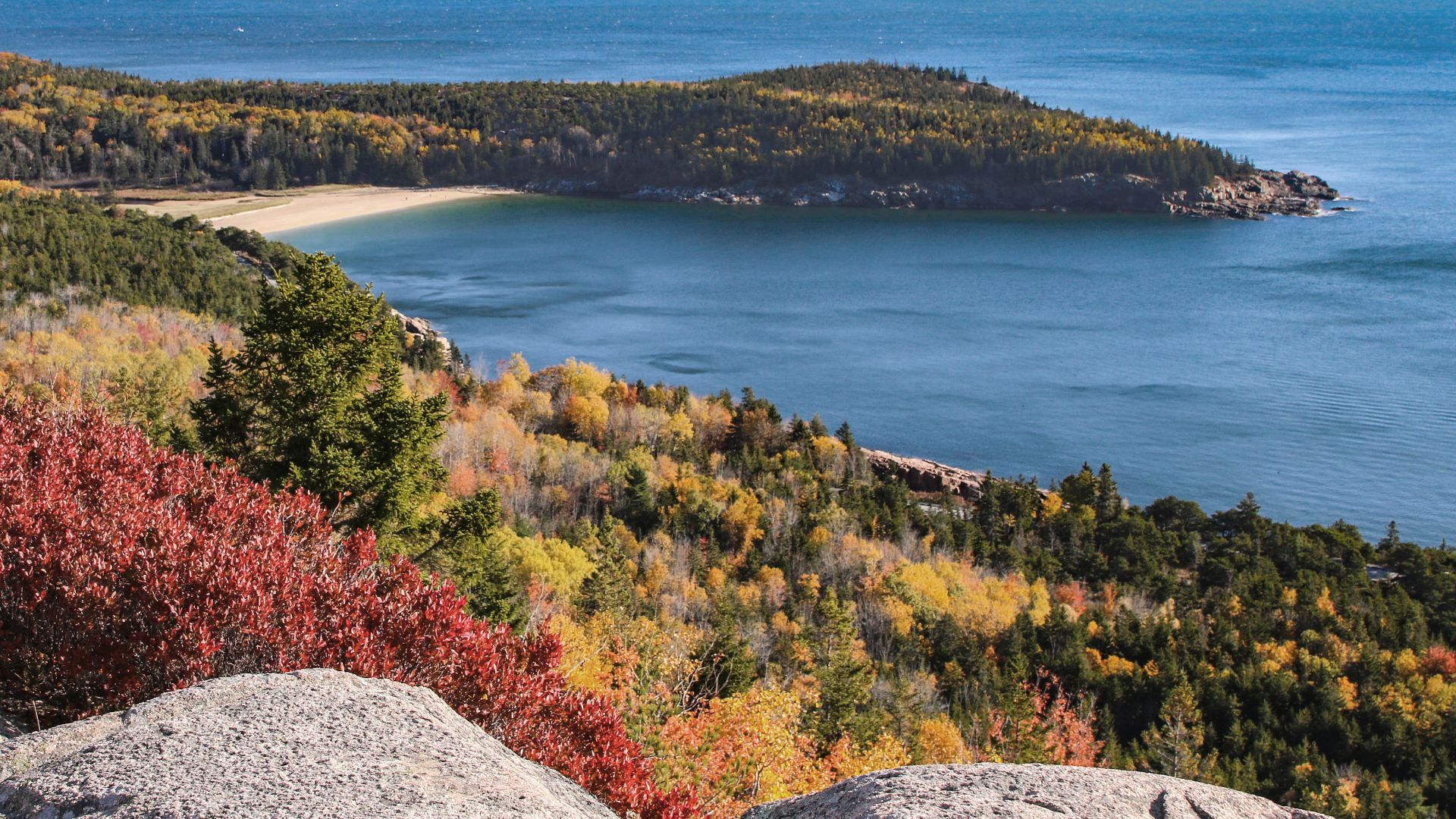 Sand Beach Cove and Great Head from Gorham Mountain, Acadia National Park, Maine, United States.