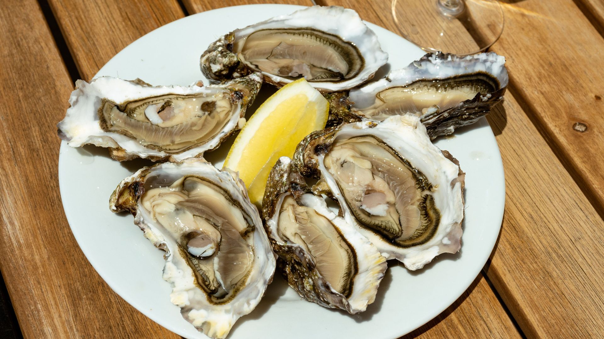 A plate of fresh oysters served with lemon wedge on a wooden table in daylight.