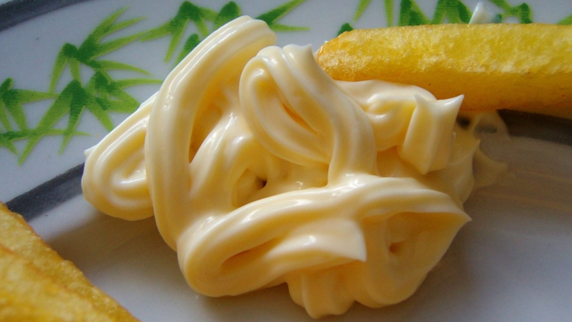 Zaanse mayonaise (mayonnaise from the Zaan district) and French fries