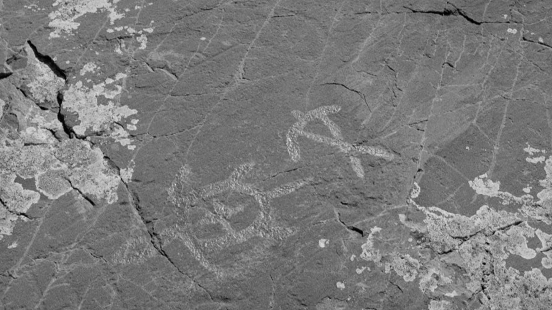 Petroglyphs of a man and a turtle at Jeffers Petroglyphs near Jeffers, Minnesota.