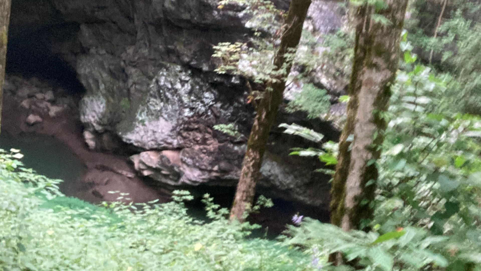 Devilstep Hollow Cave