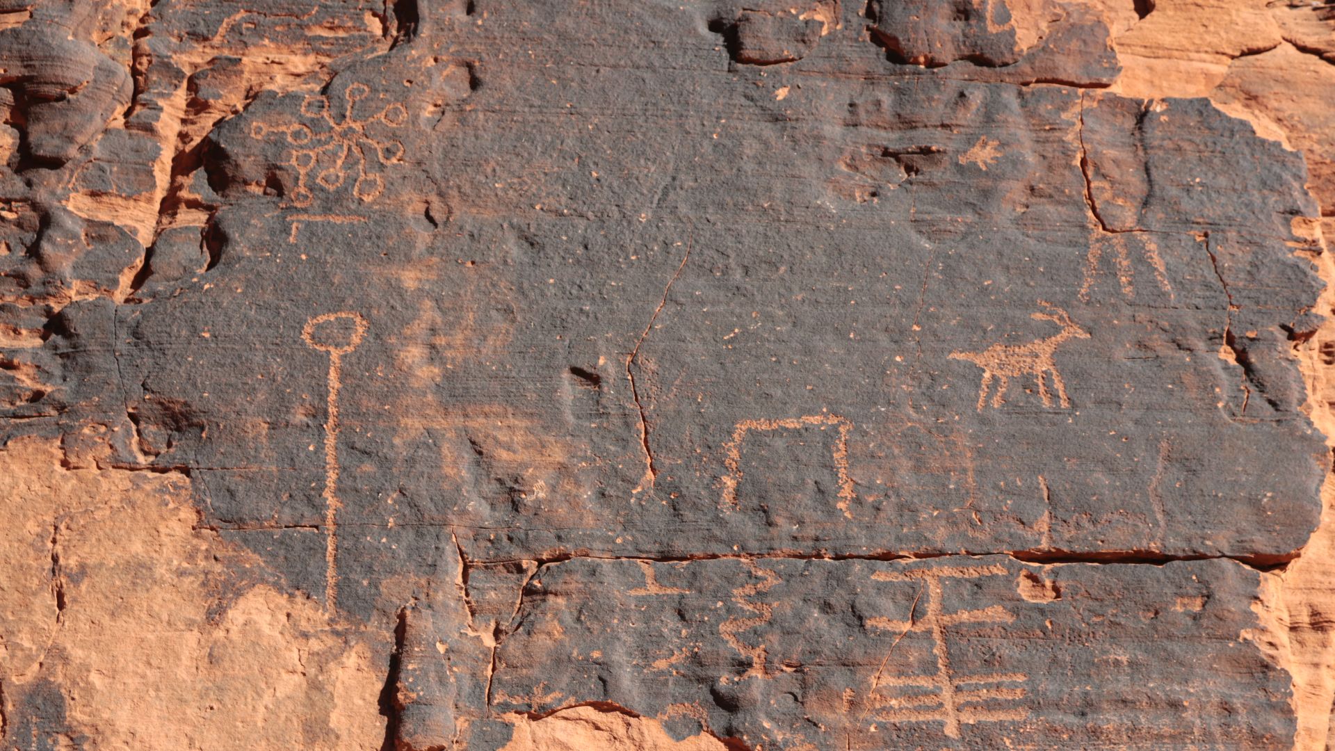 Petroglyphs along the Mouse's Tank trail in Valley of Fire State Park