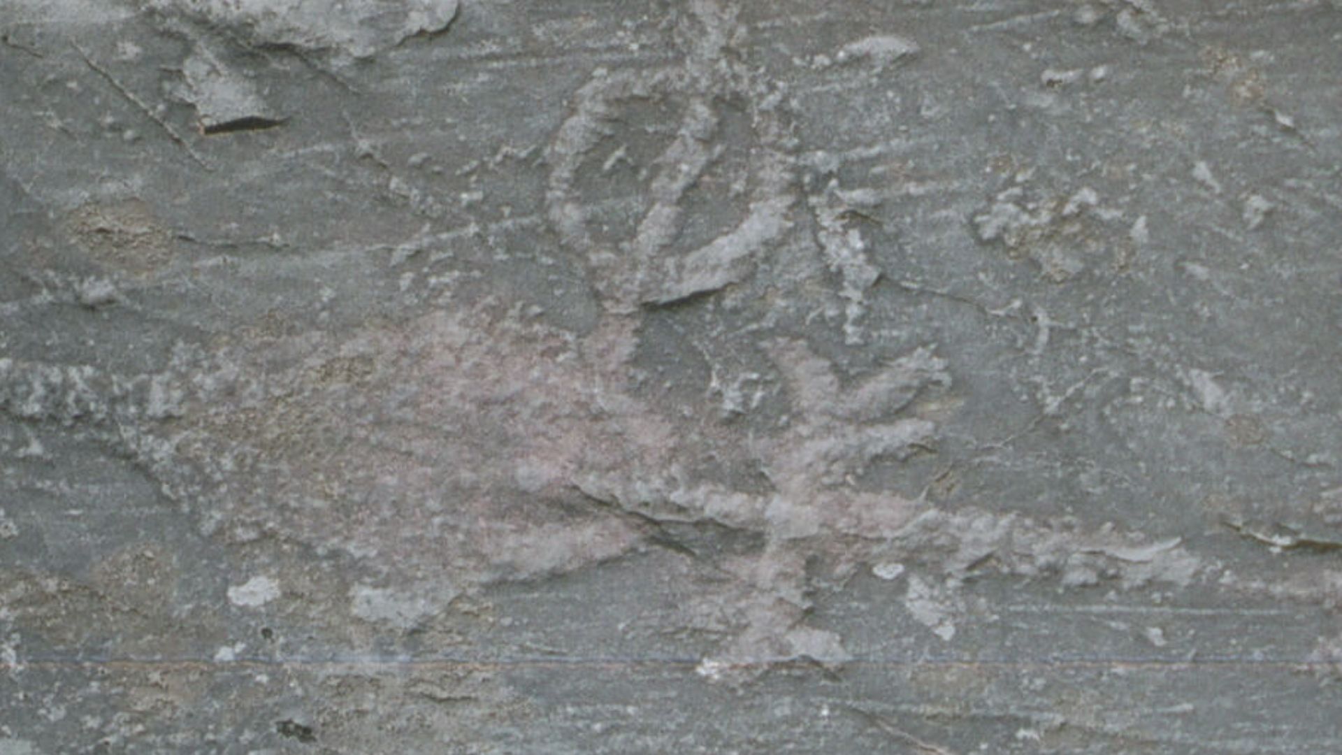 File:Jeffers Petroglyphs Arrow.jpg