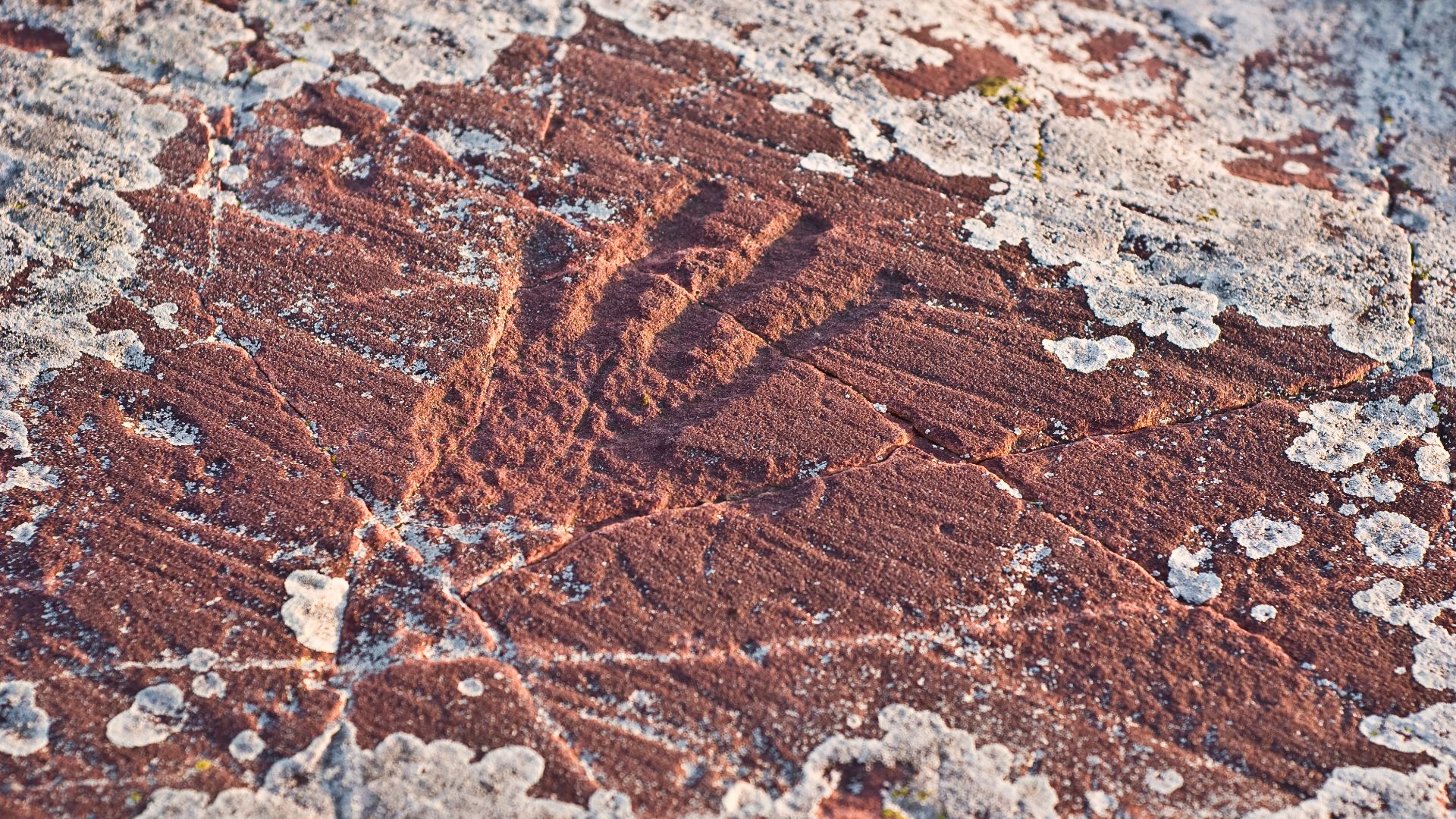 Lichen around carved hand- Jeffers Petroglyphs near Jeffers, Minnesota, USA