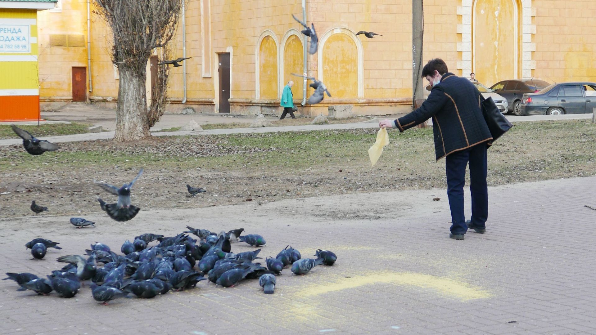 A woman feeds a flock of pigeons on an urban street near historic architecture.