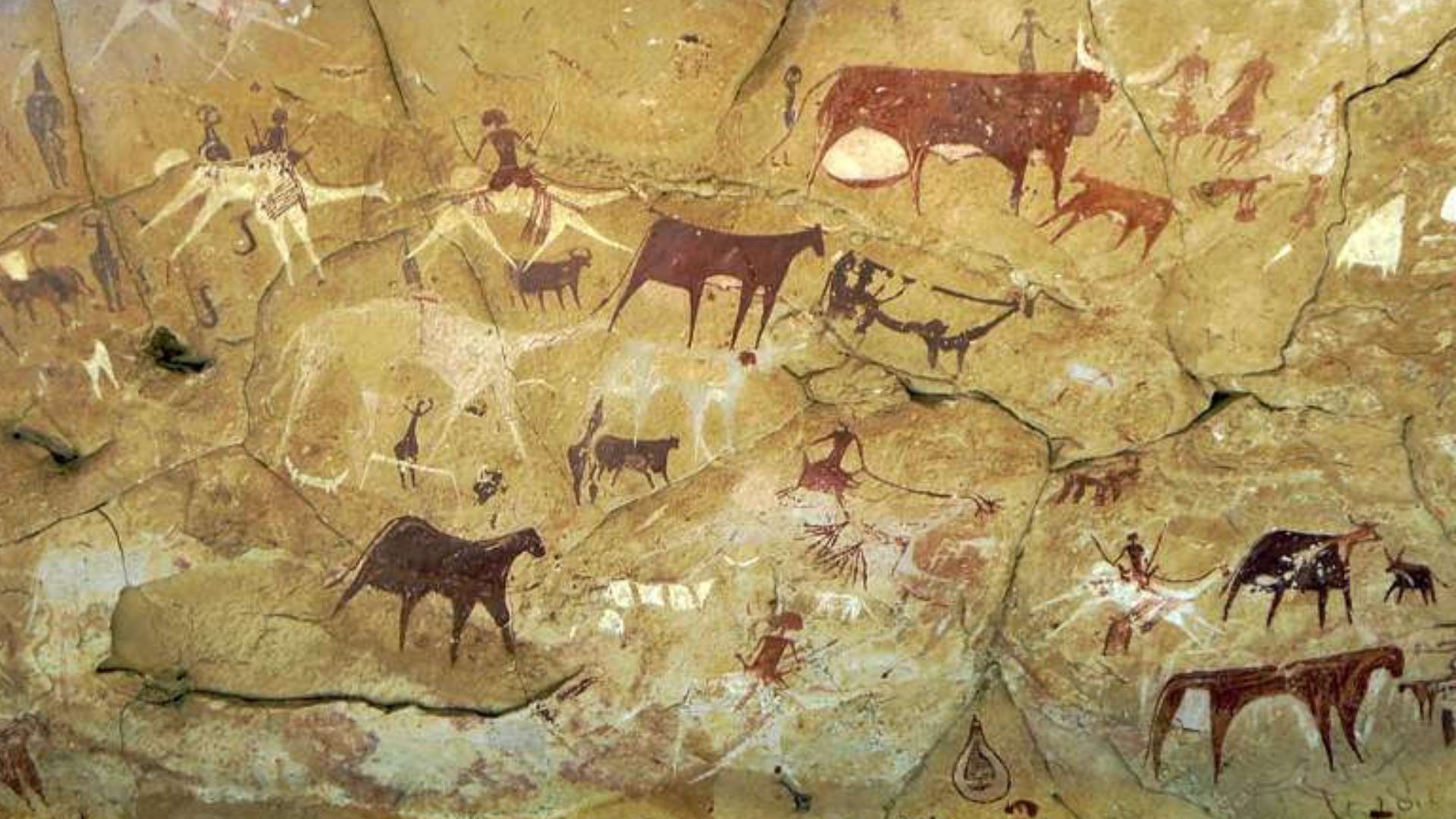 These prehistoric rock paintings are in Manda Guéli Cave in the Ennedi Mountains, Chad, Central Africa. Camels have been painted over earlier images of cattle, perhaps reflecting climatic changes.