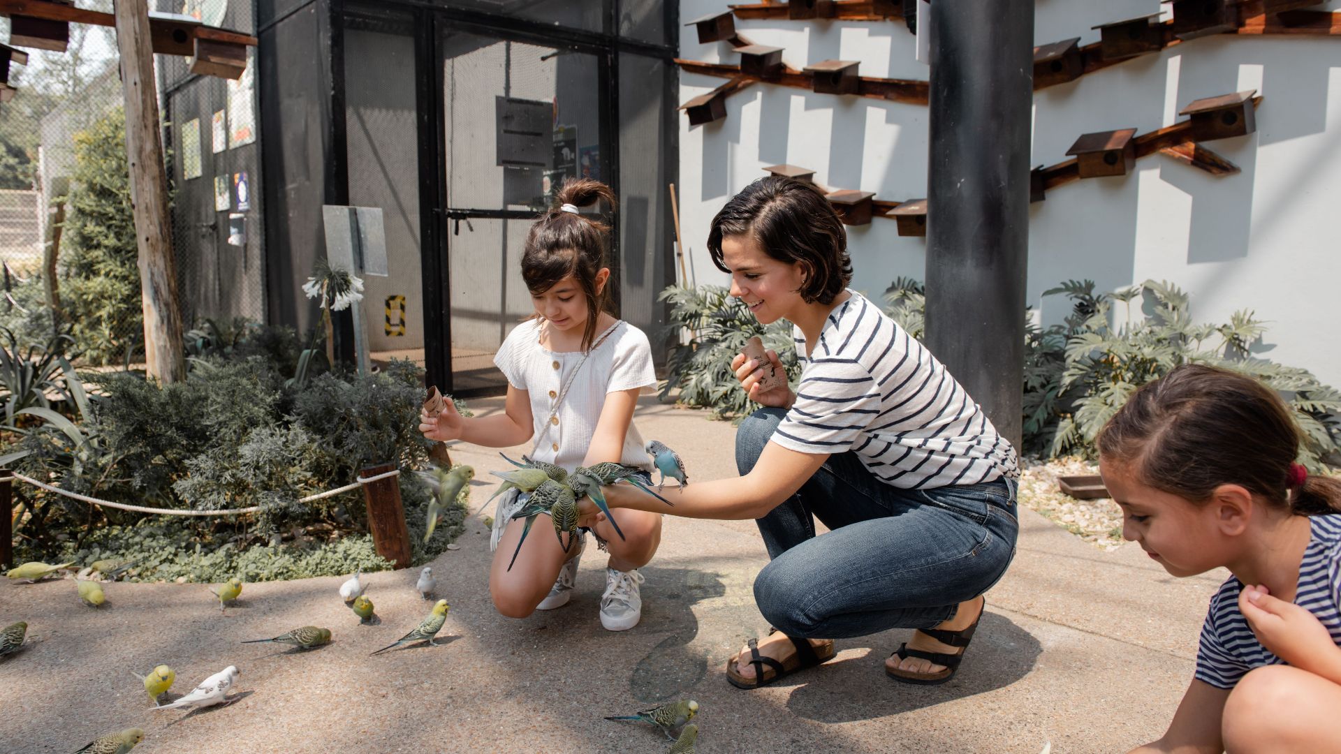 A mother and children interacting with birds outdoors at the zoo, enjoying a sunny day.
