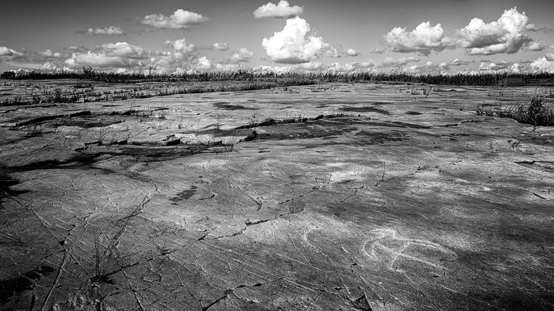 Thunderbird carving at Jeffers Petroglyphs near Jeffers, Minnesota, USA