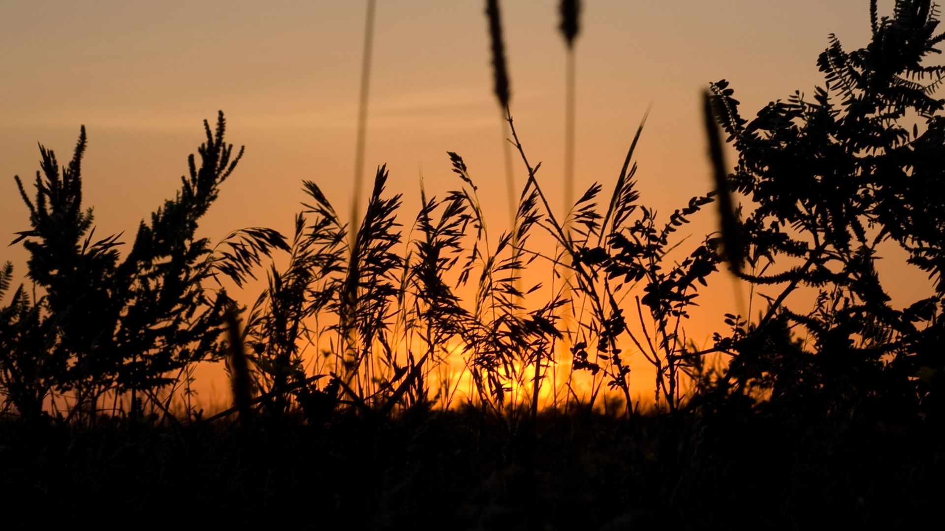 Prairie Sunset at Jeffers Petroglyphs near Jeffers, Minnesota.