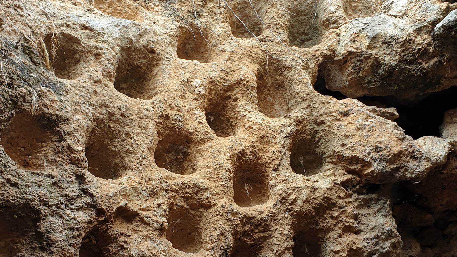 A  rock-cut Columbarium used for breeding doves