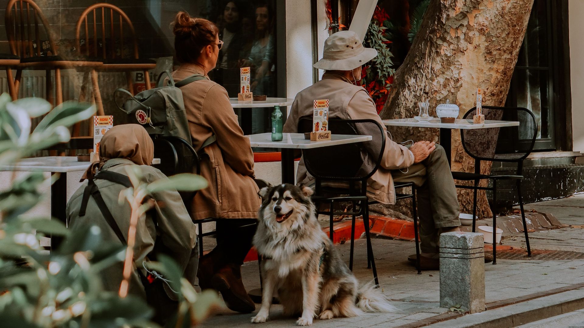 Two people and a dog enjoying a cafe under a tree in a city street.