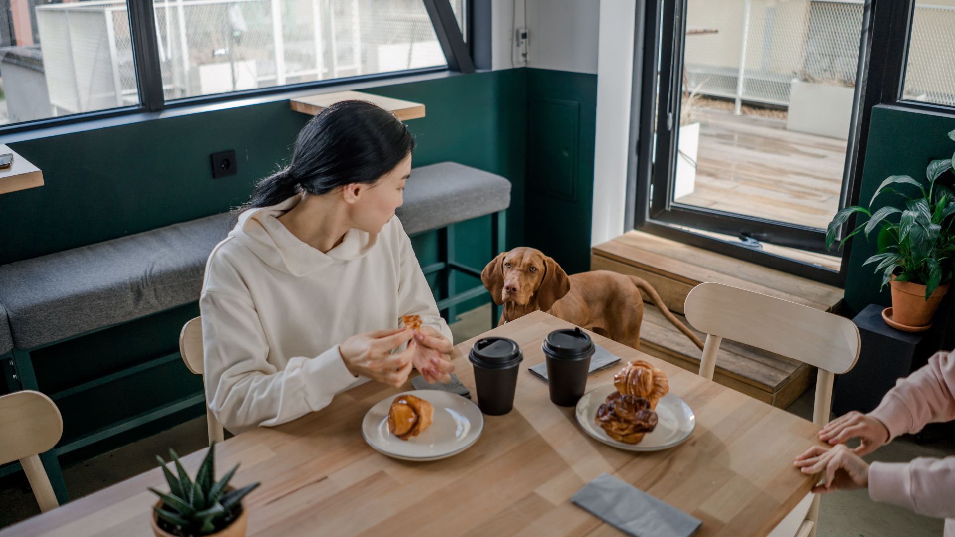Enjoying breakfast with coffee, pastries, and a Vizsla dog in a cozy café setting.
