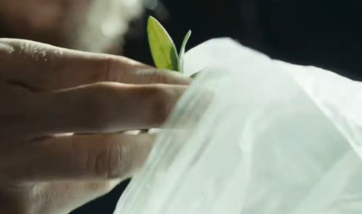 Screenshot from Into the Wild (2007)