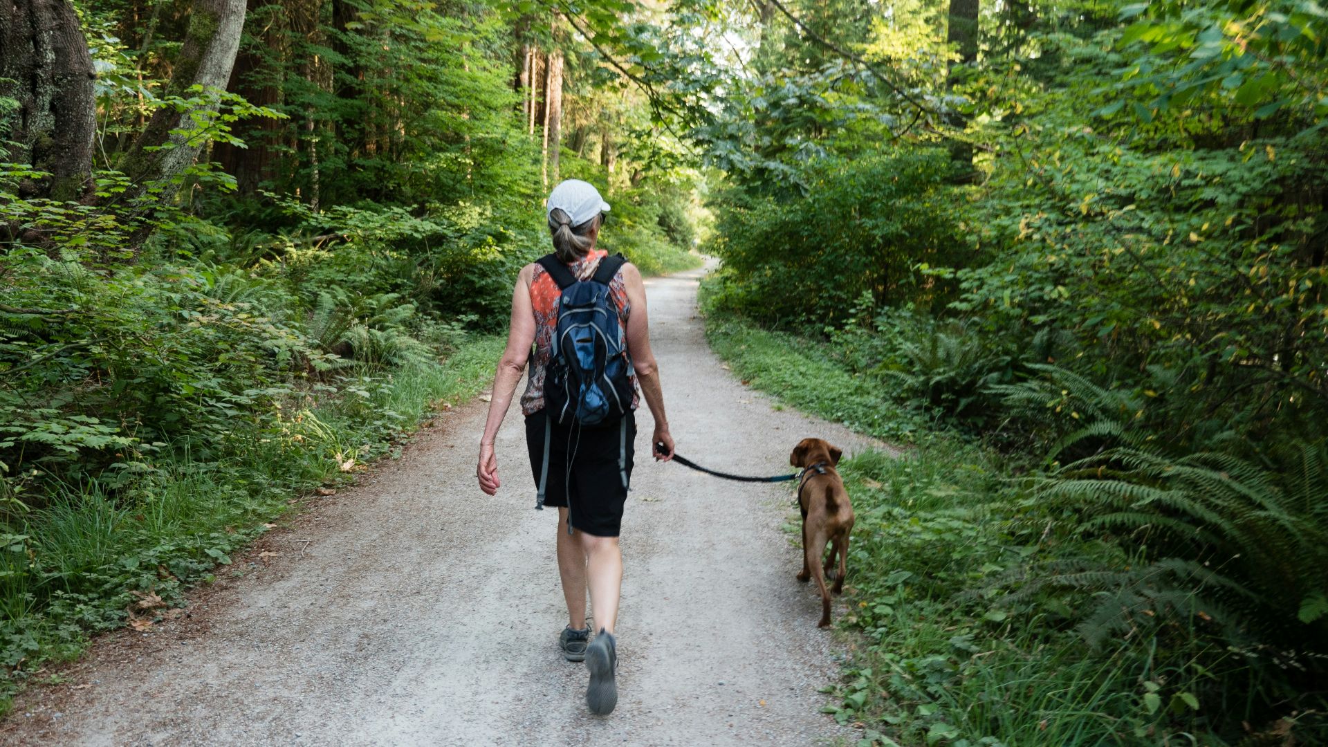 2 women walking on road with brown dog during daytime