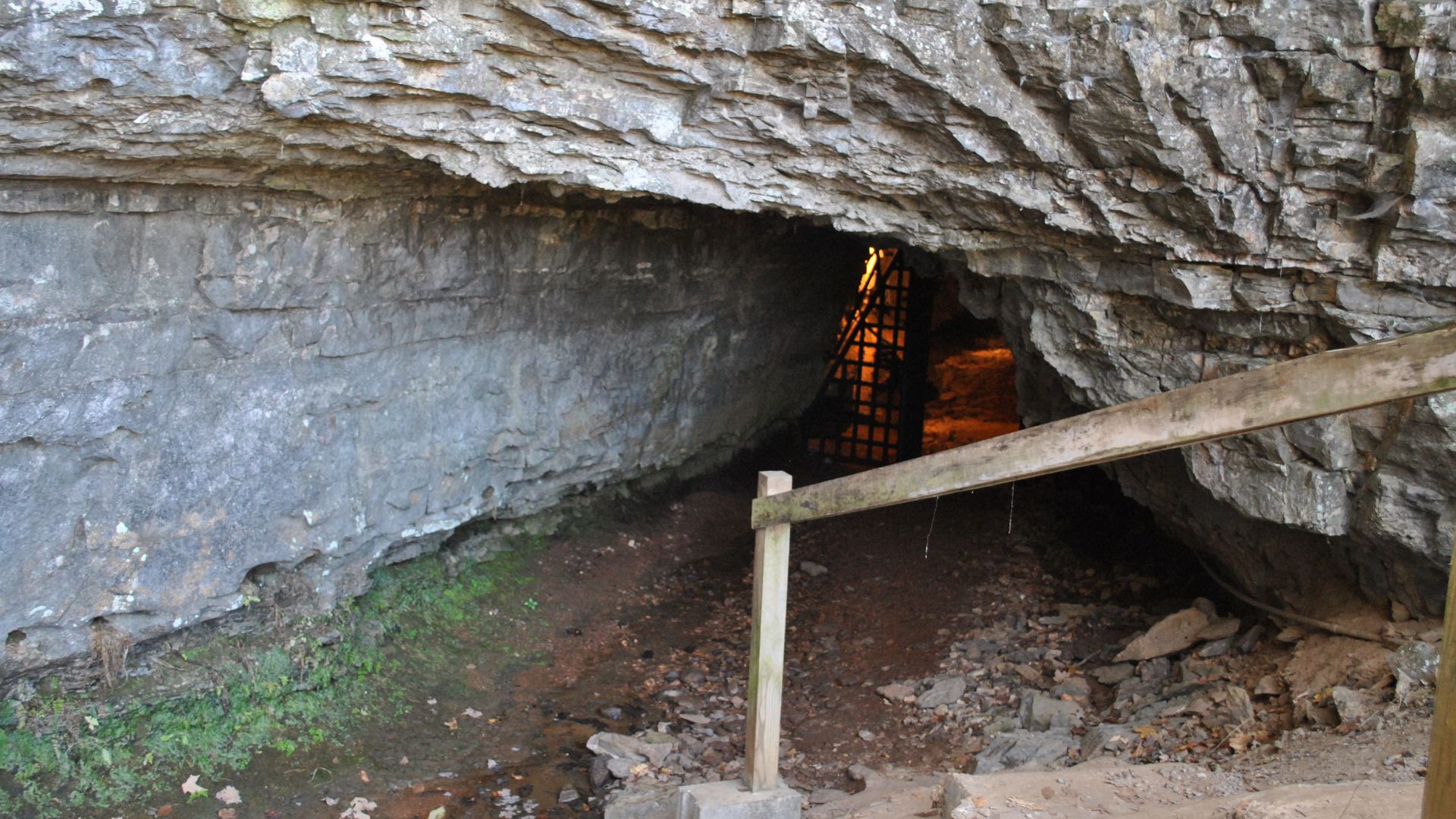 Bell Witch Cave, 430 Keysburg Rd. Adams