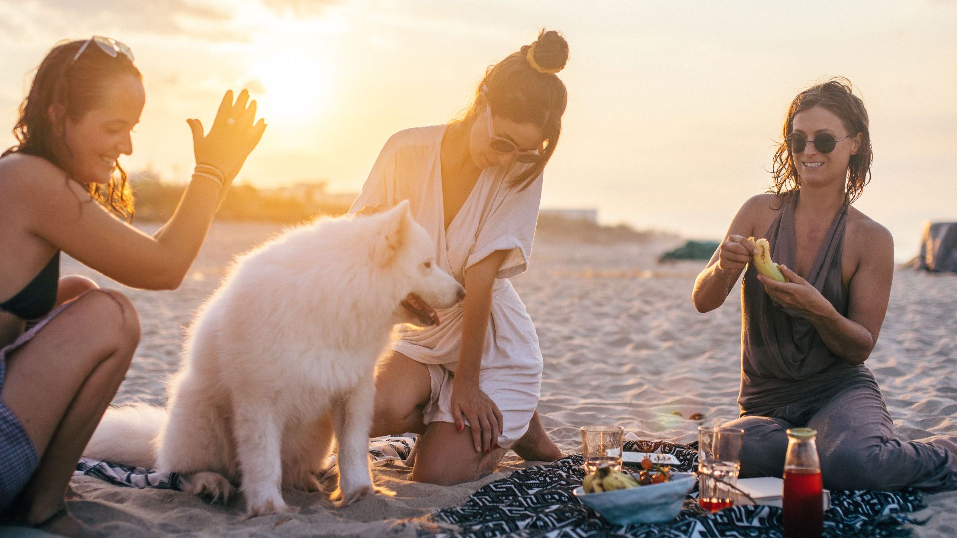 Three women and a fluffy dog enjoy a beach picnic during sunset, capturing a moment of leisure and companionship.