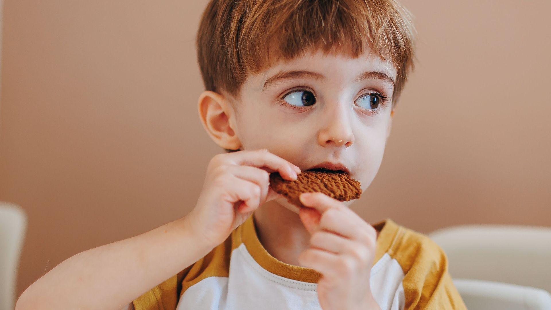 Adorable young boy in a casual setting enjoying a delicious cookie.