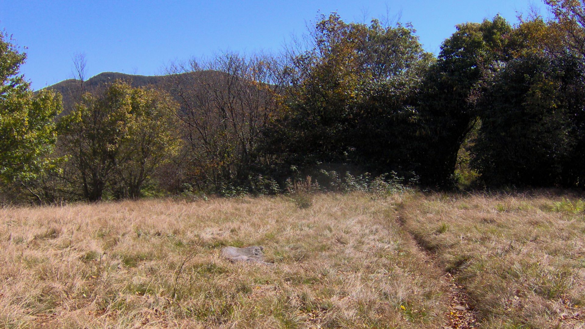The Appalachian Trail (right) crossing an open meadow at Spence Field (appx. 4,920 ft/1,500m), in the Great Smoky Mountains of the southeastern United States.  Thunderhead Mountain rises in the distance.