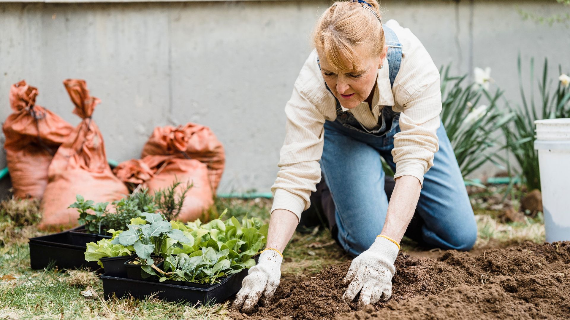 Senior woman kneeling in a garden, planting small plants in soil with protective gloves on.