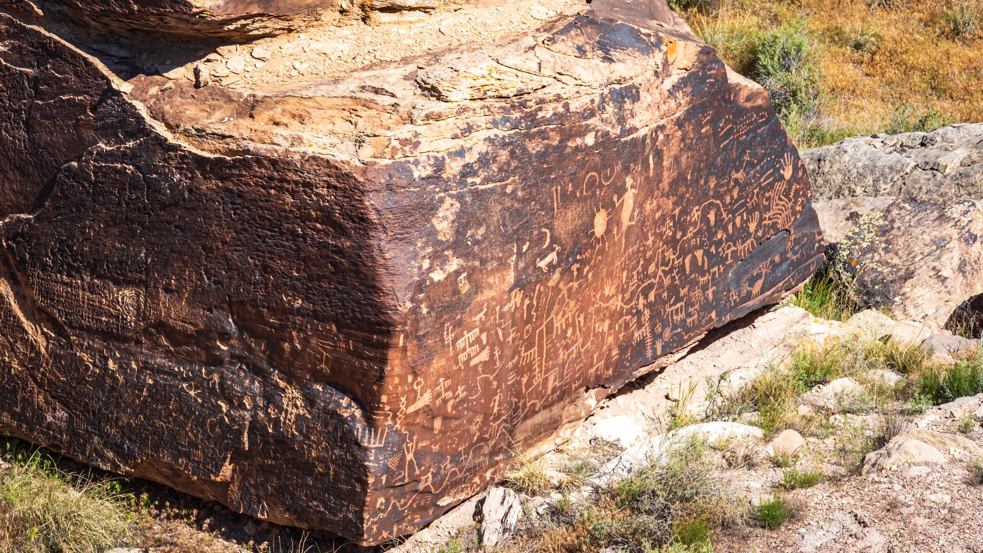 Petrified Forest National Park