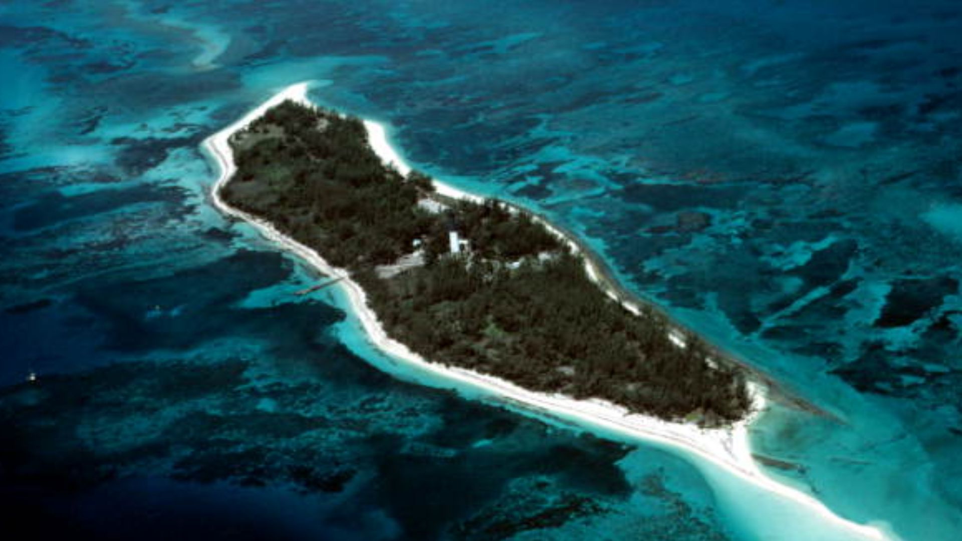 Local call number: DM0757
Title: Aerial view of Loggerhead Key, Dry Tortugas
Date: July 1984
Physical descrip: 1 slide - col.
Series Title: Dale M. McDonald Collection
Repository:  State  Library and Archives of Florida, 500 S. Bronough St., Tallahassee, 