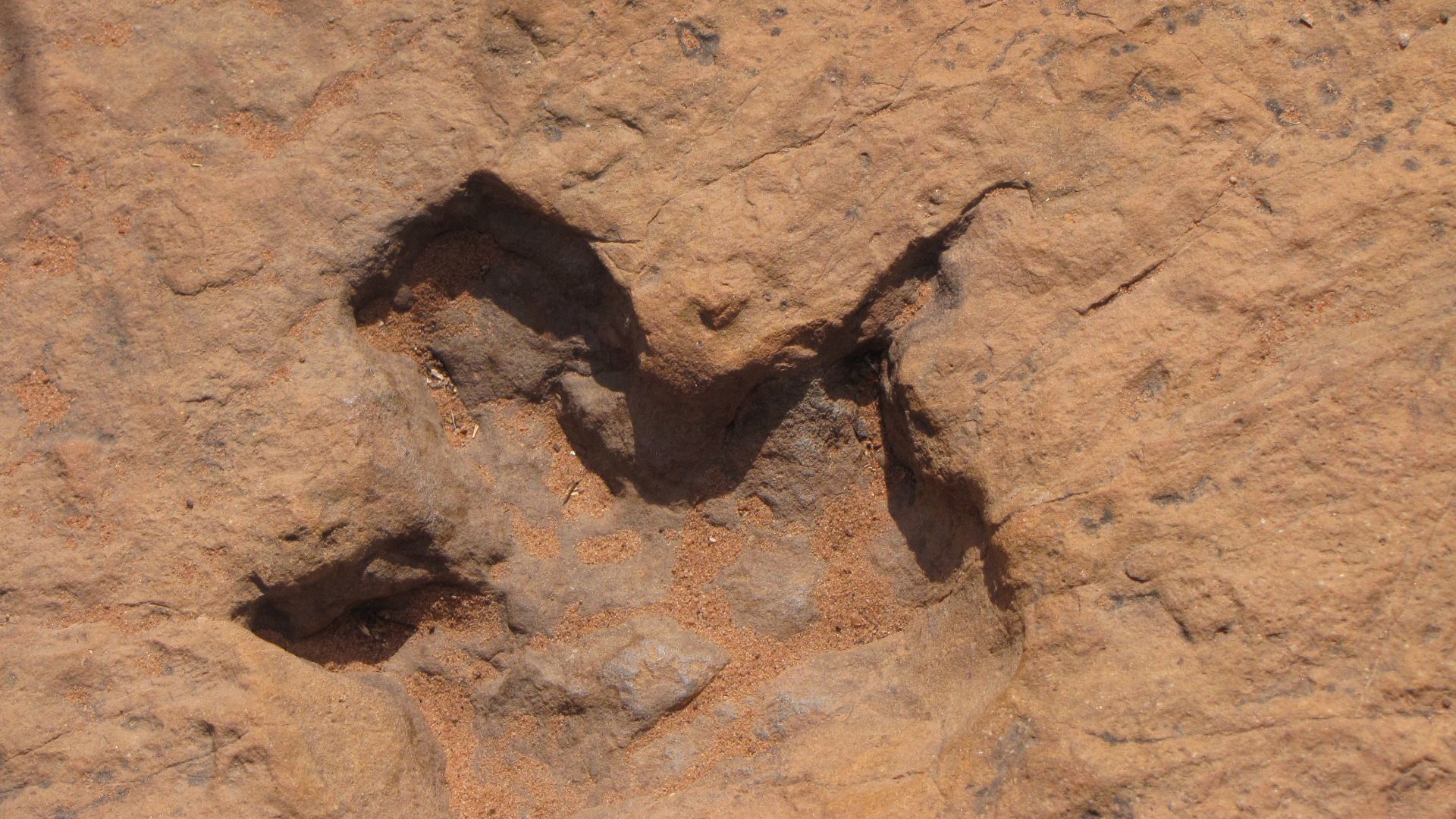 Dinosaurstracks Otjihaenamaparero Namibia